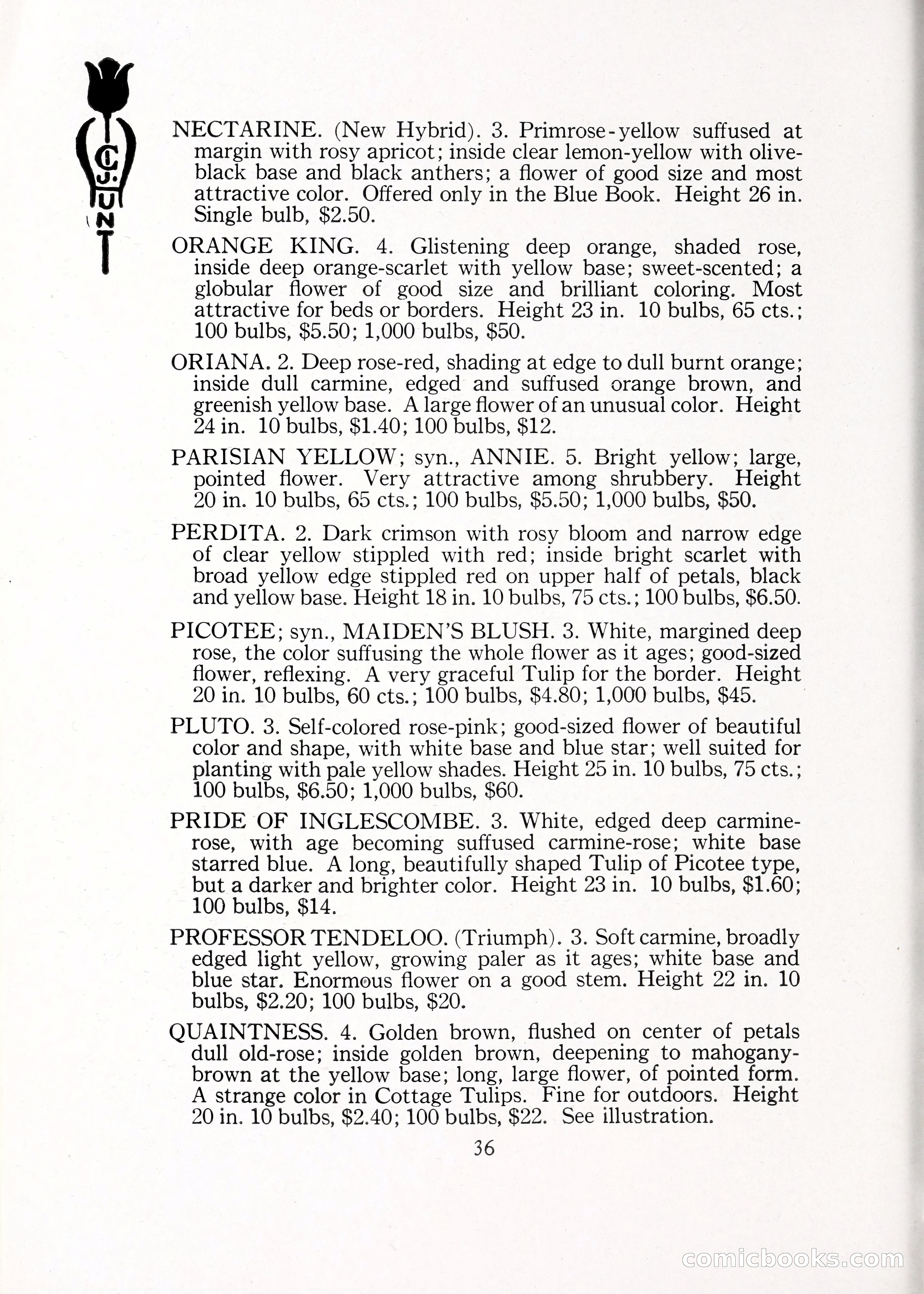 Blue Book of Bulbs, 1929 — page 53 of 125