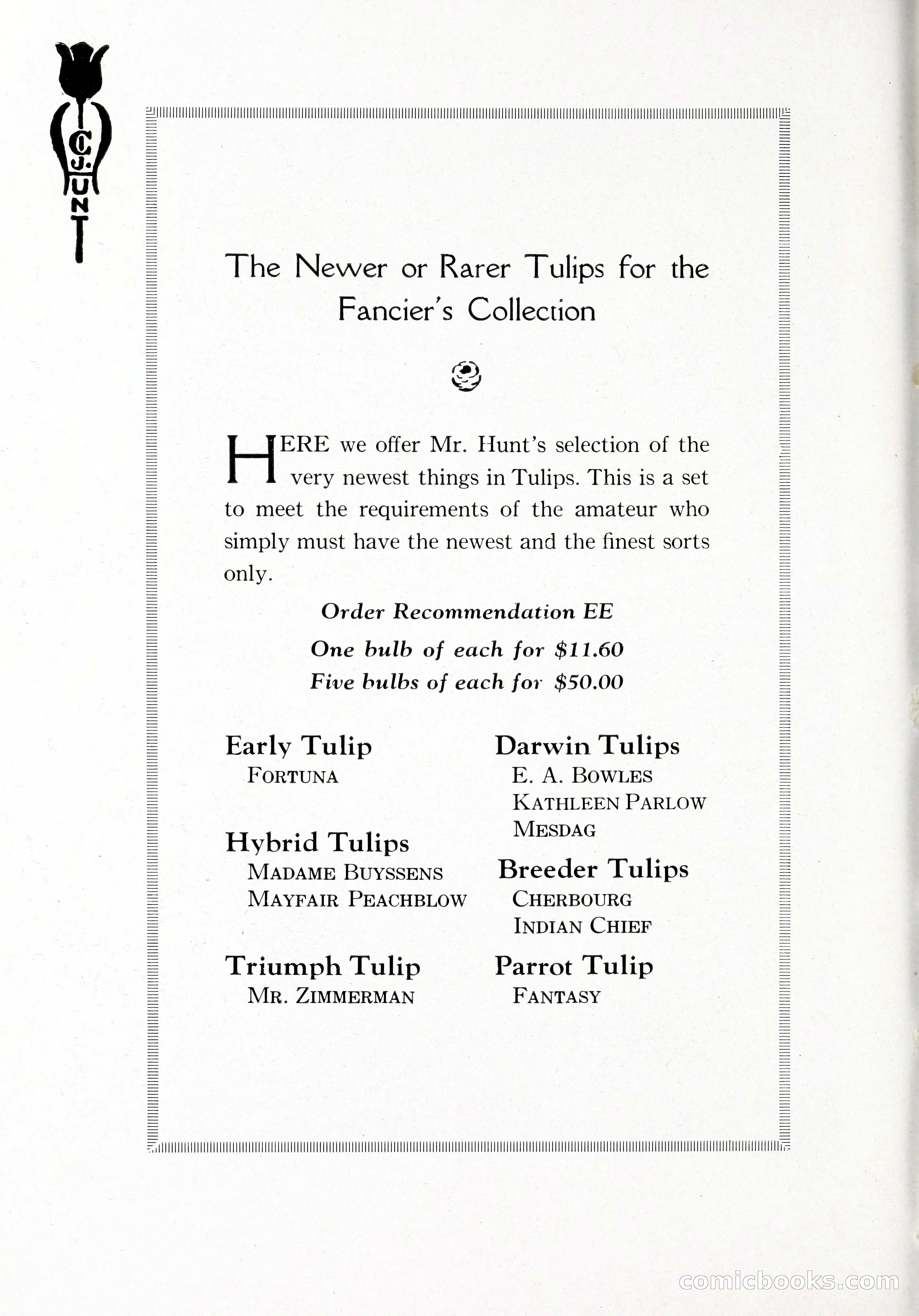 Blue Book of Bulbs, 1929 — page 55 of 125