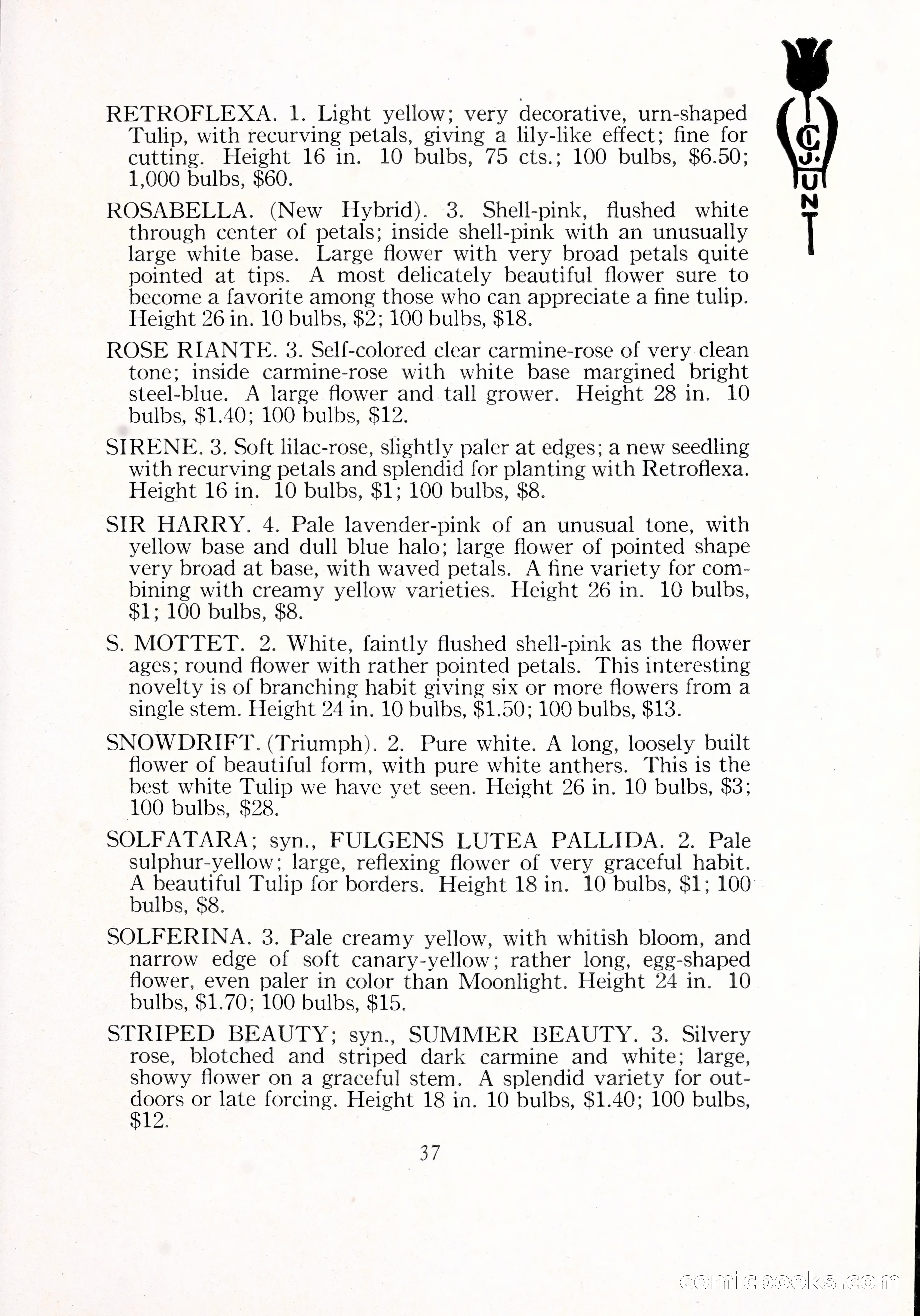 Blue Book of Bulbs, 1929 — page 56 of 125