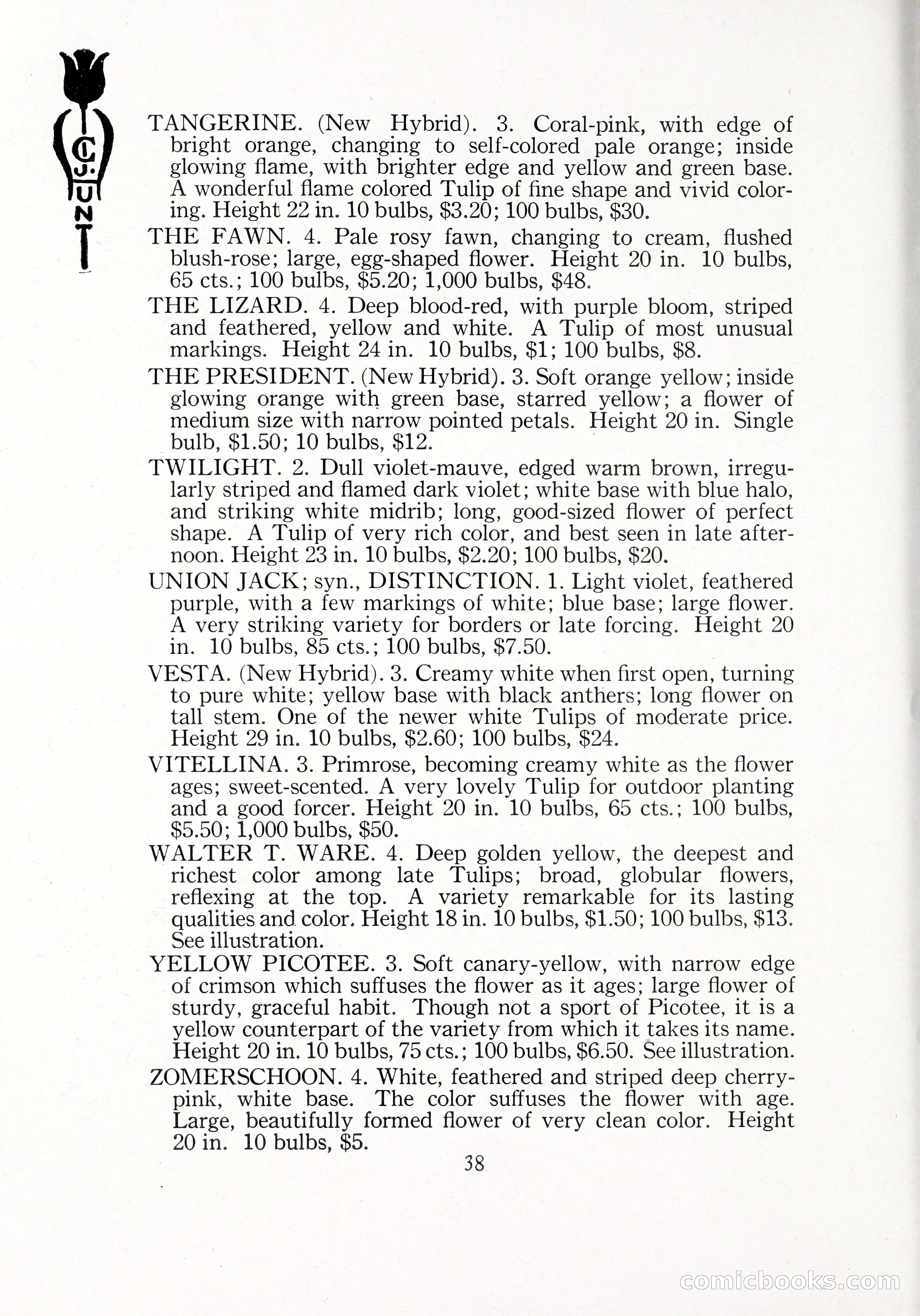 Blue Book of Bulbs, 1929 — page 57 of 125