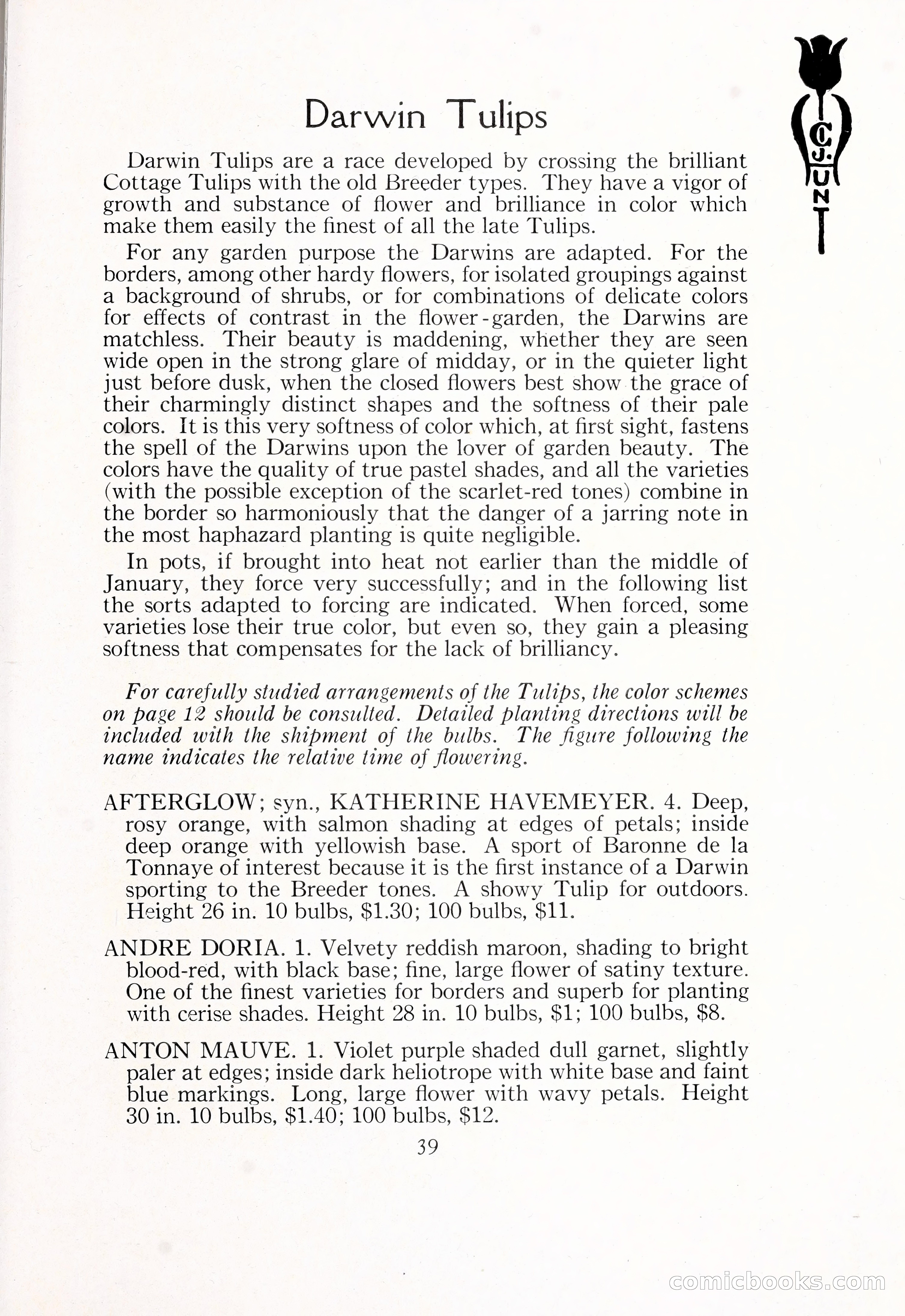 Blue Book of Bulbs, 1929 — page 60 of 125