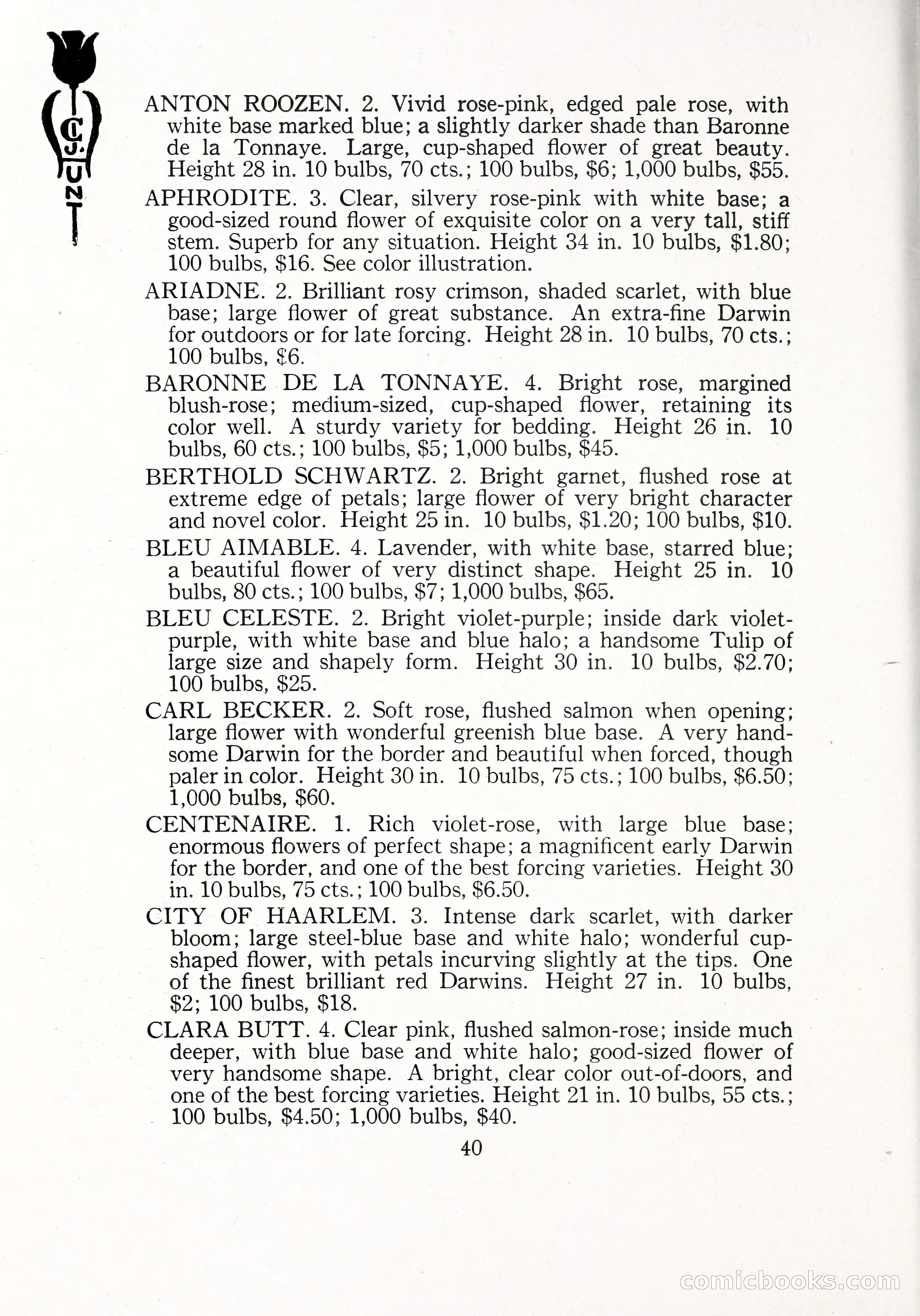 Blue Book of Bulbs, 1929 — page 61 of 125