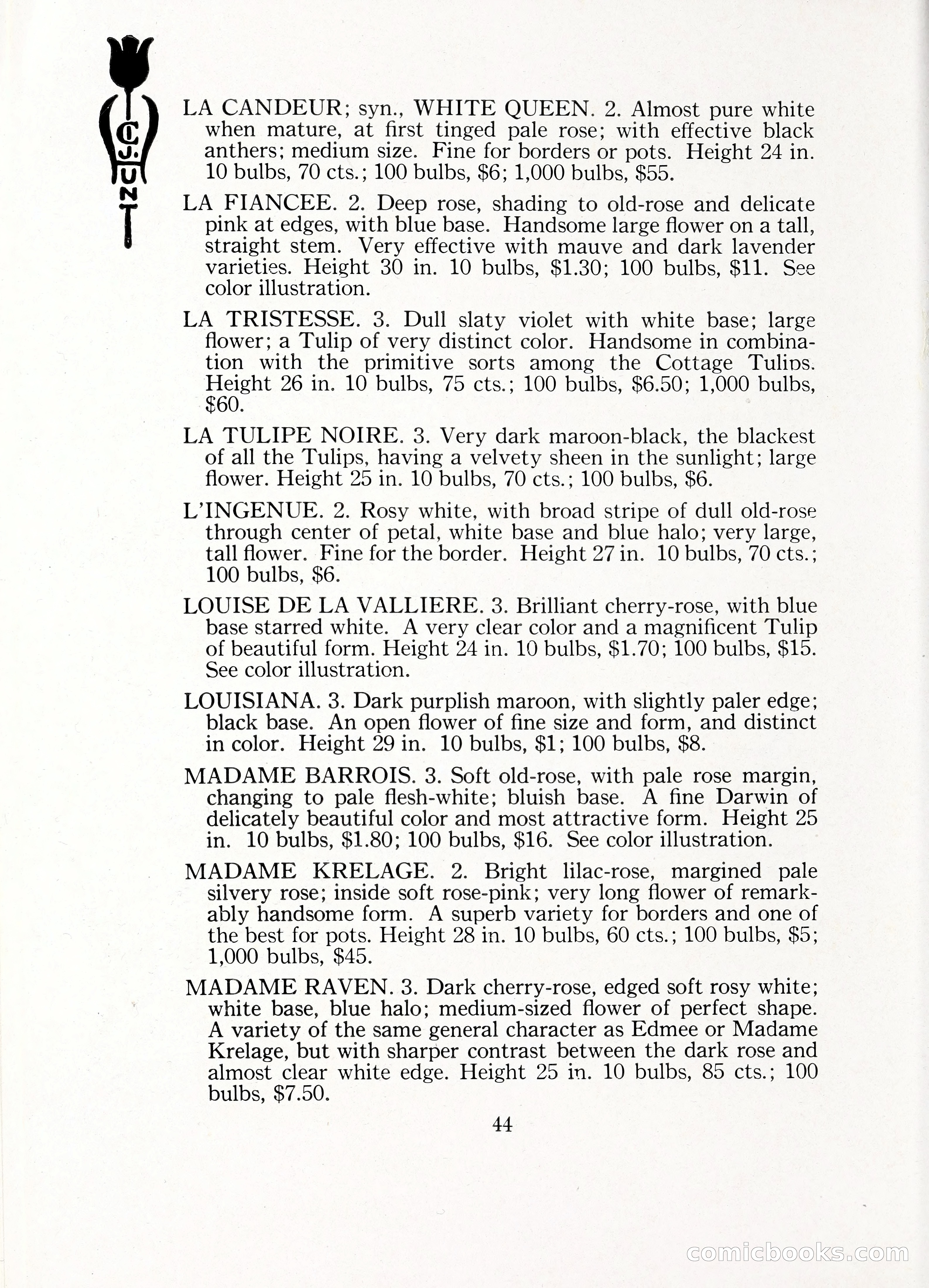 Blue Book of Bulbs, 1929 — page 65 of 125