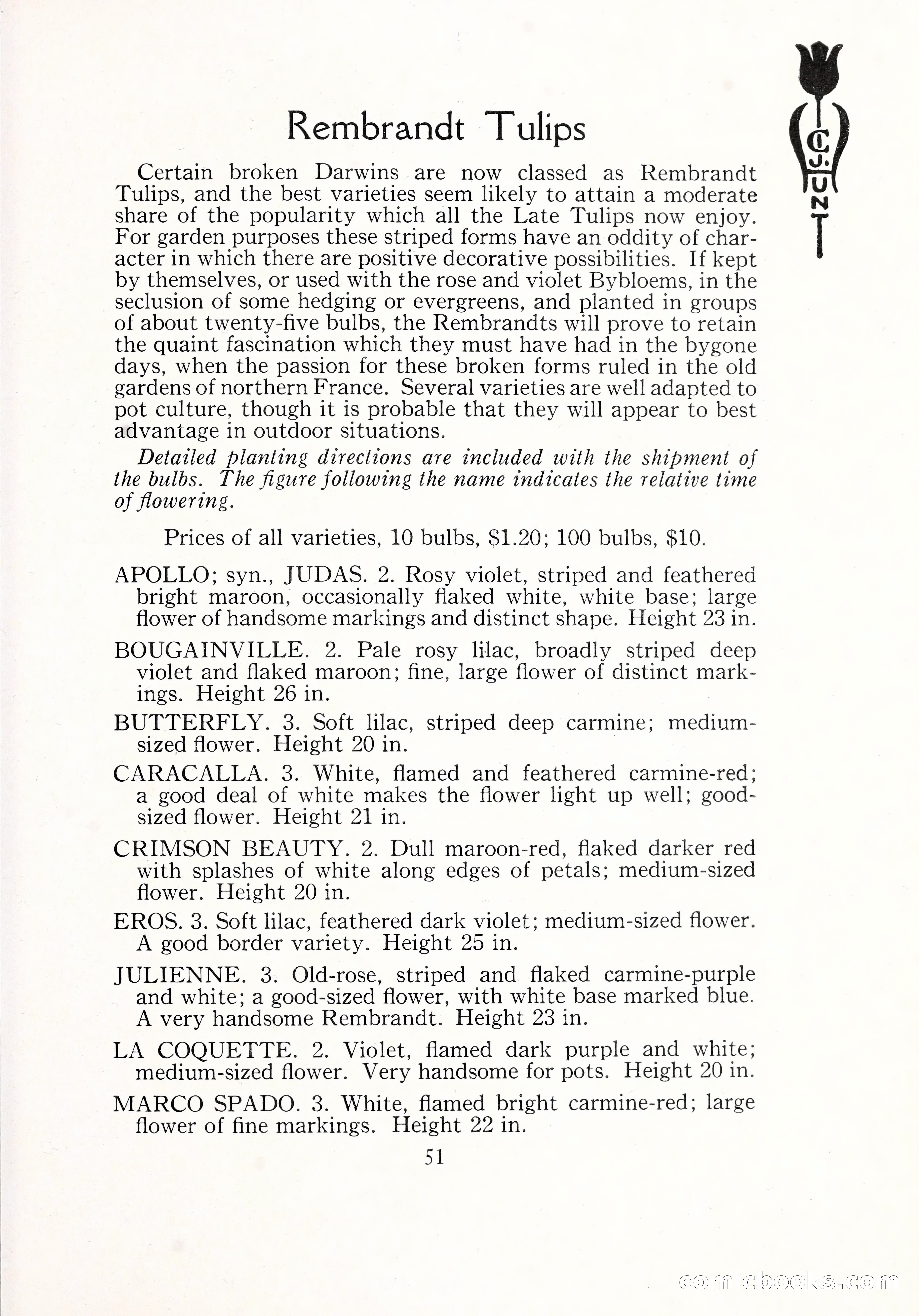 Blue Book of Bulbs, 1929 — page 74 of 125