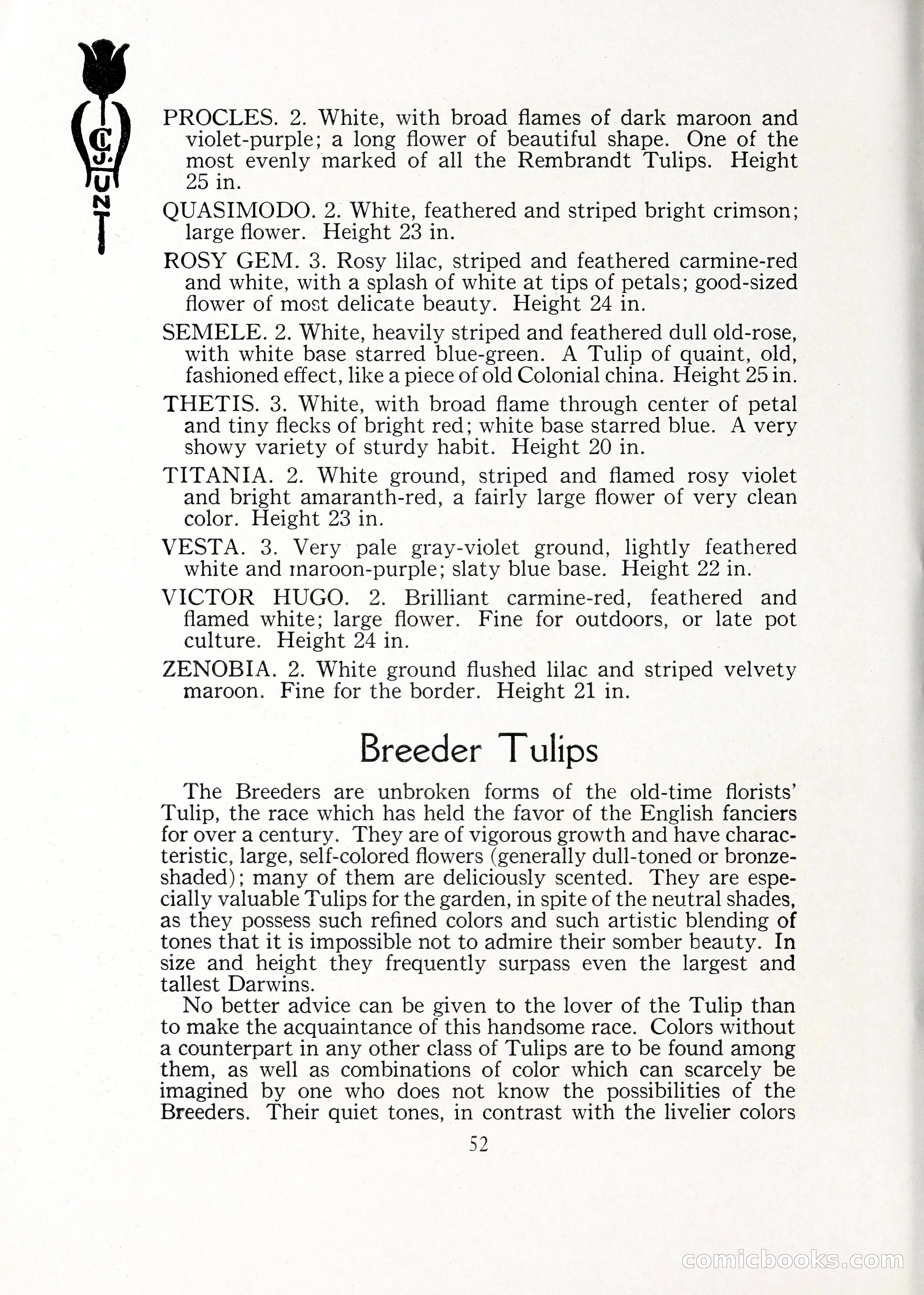 Blue Book of Bulbs, 1929 — page 75 of 125