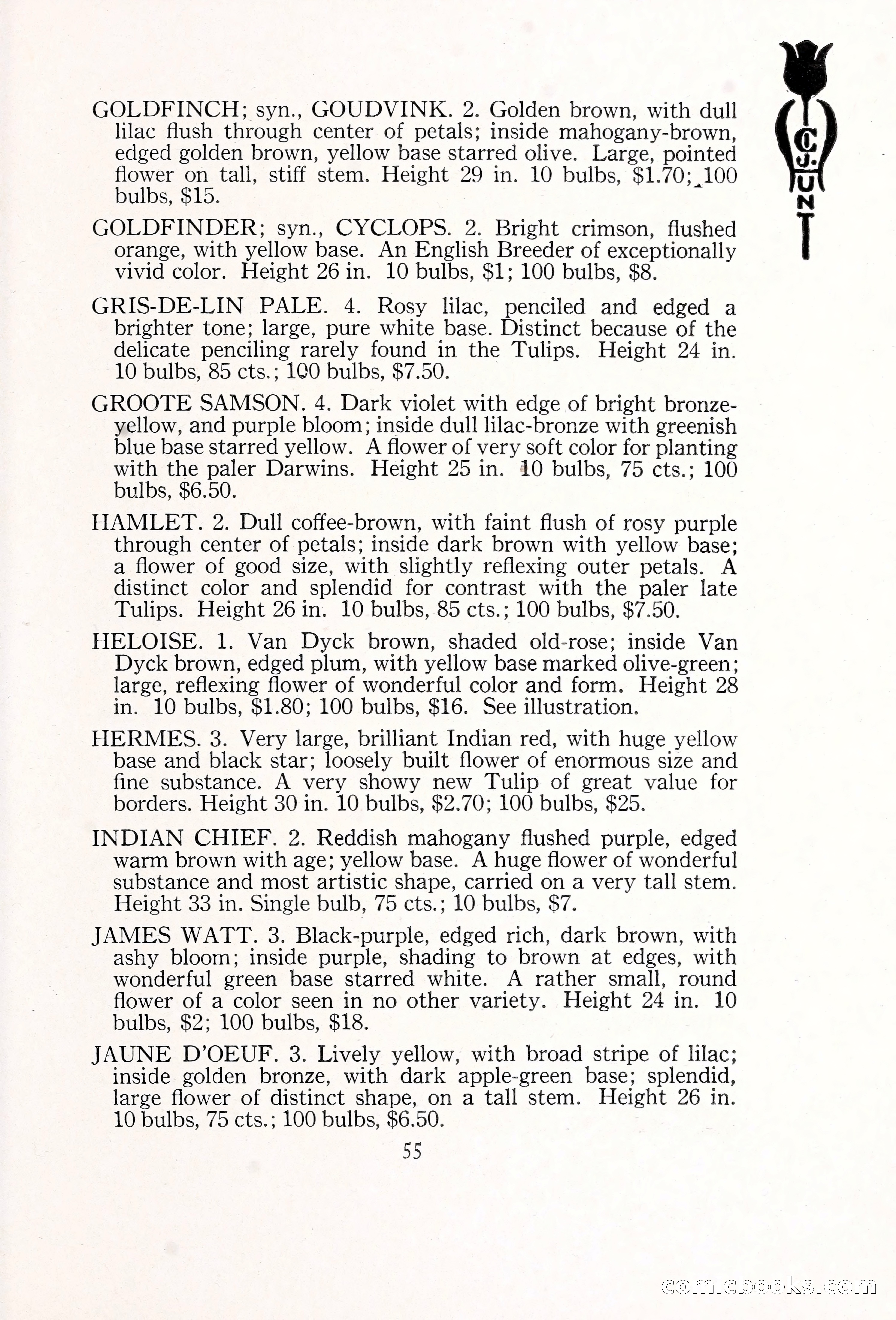Blue Book of Bulbs, 1929 — page 82 of 125