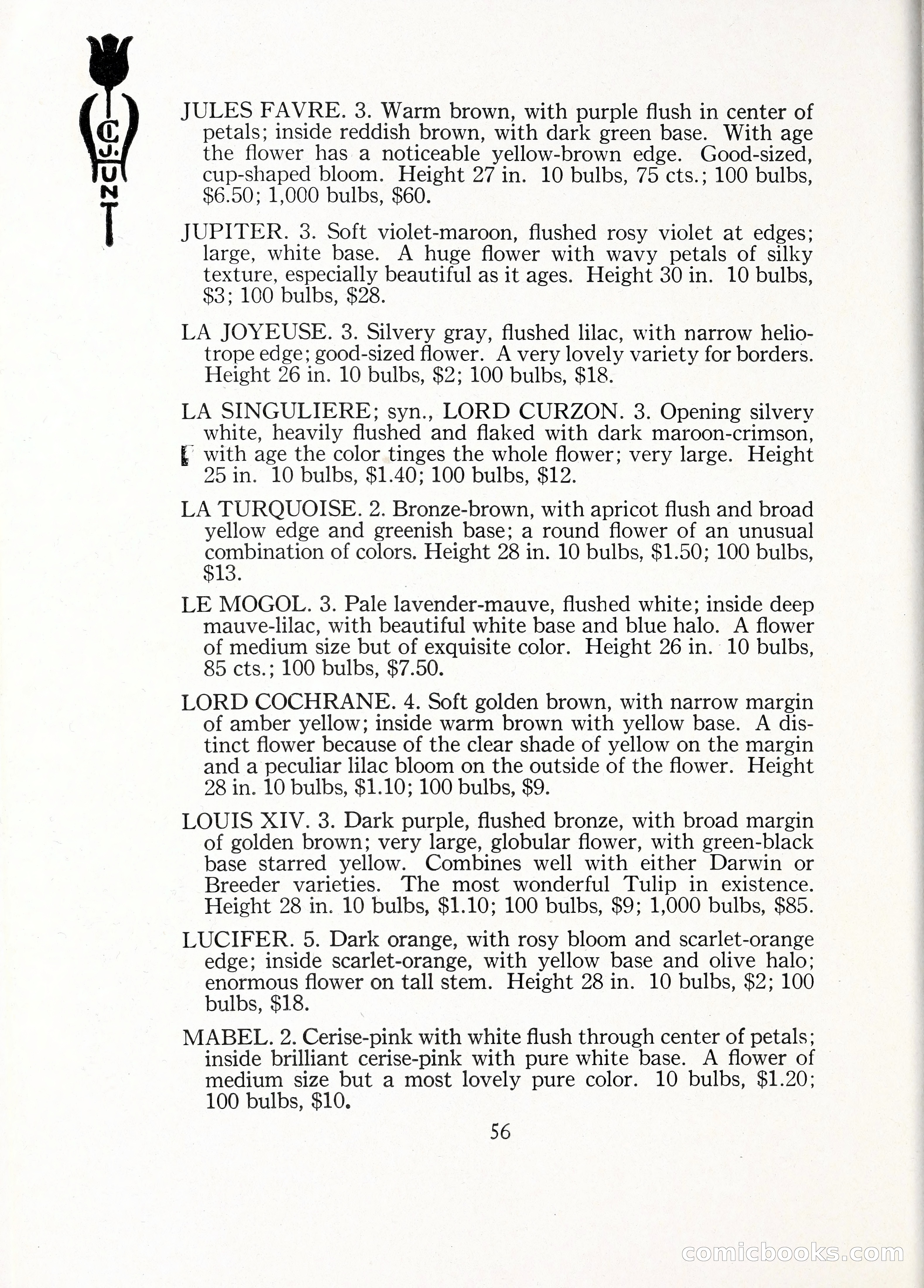 Blue Book of Bulbs, 1929 — page 83 of 125