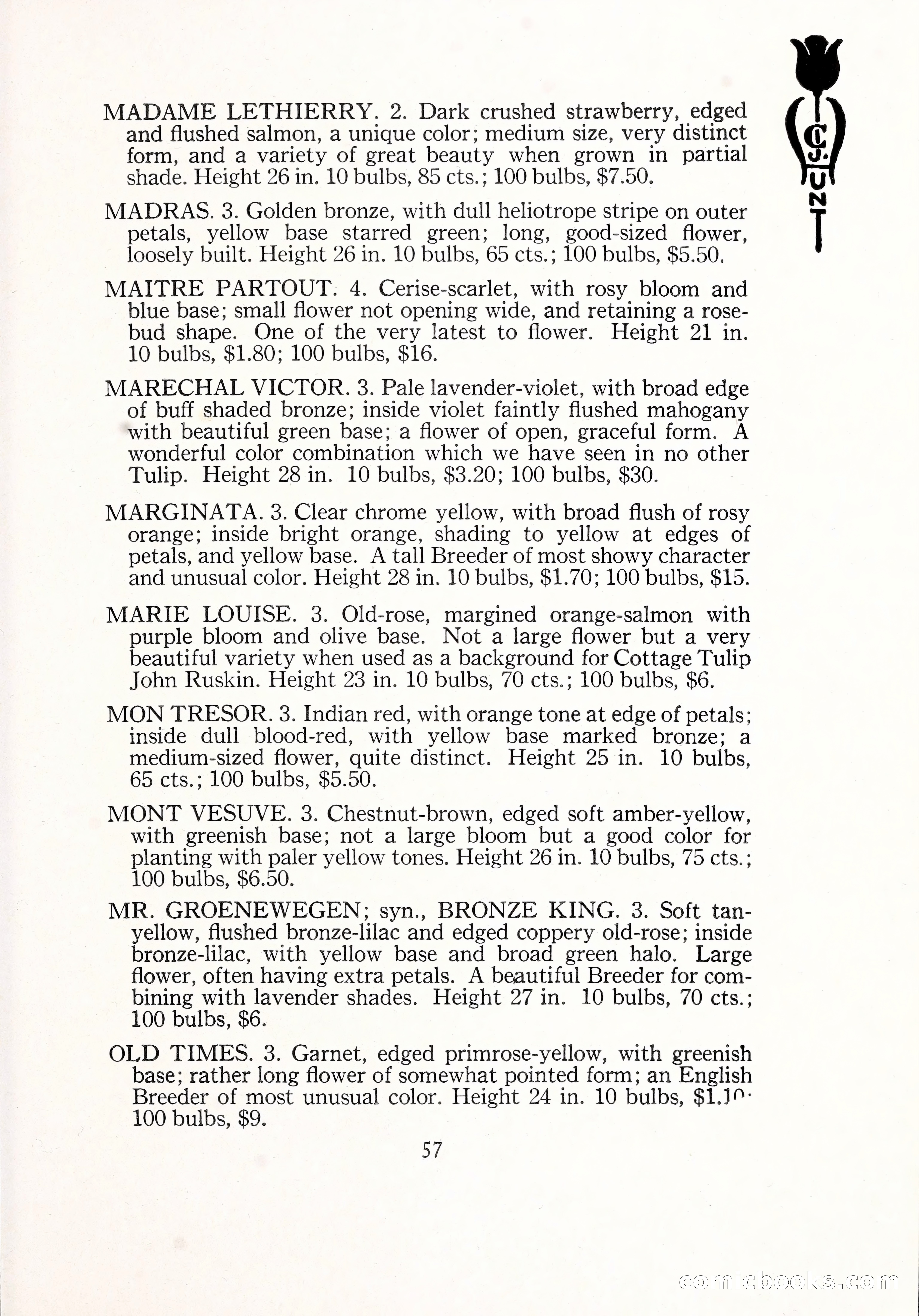 Blue Book of Bulbs, 1929 — page 84 of 125