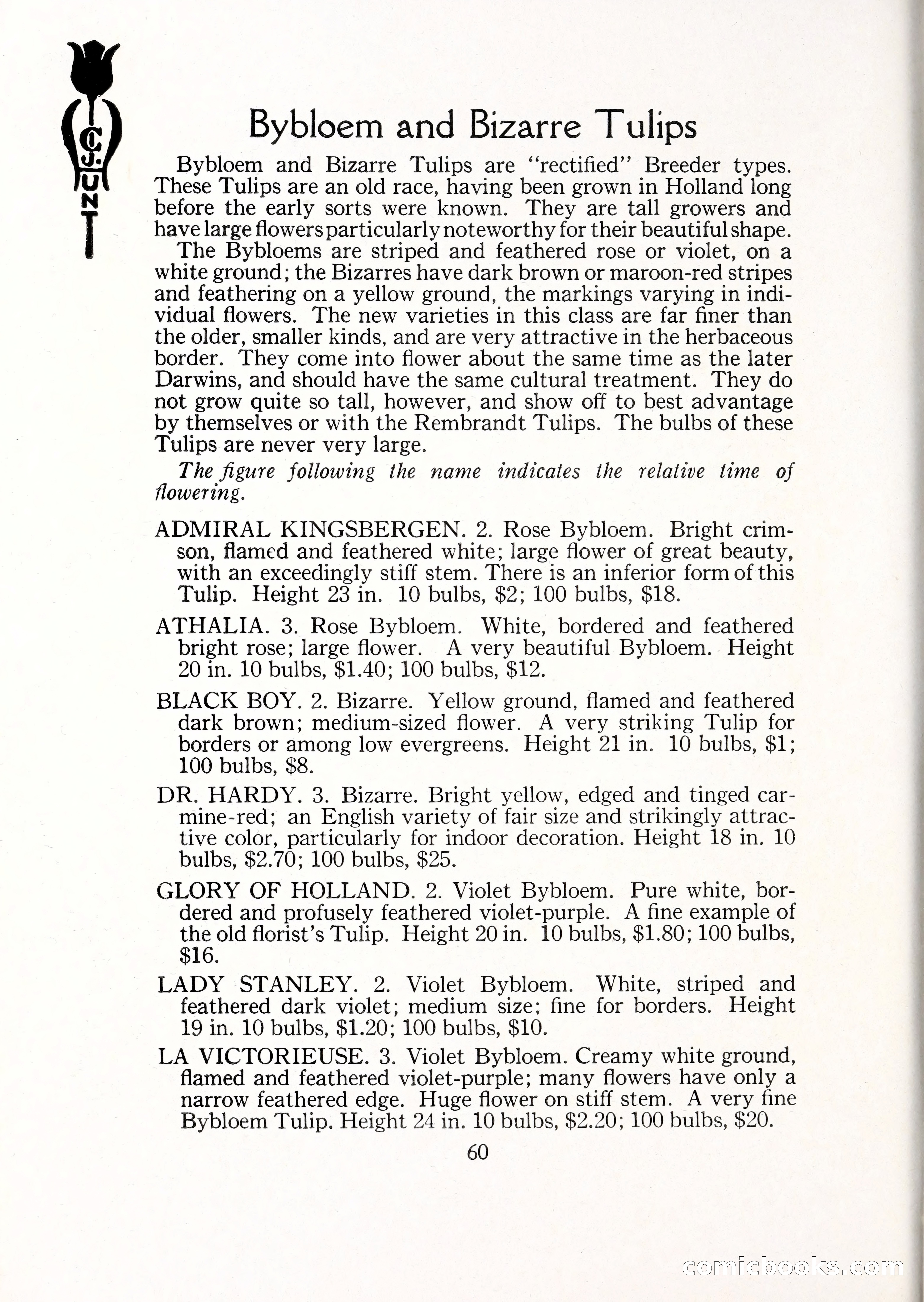 Blue Book of Bulbs, 1929 — page 87 of 125