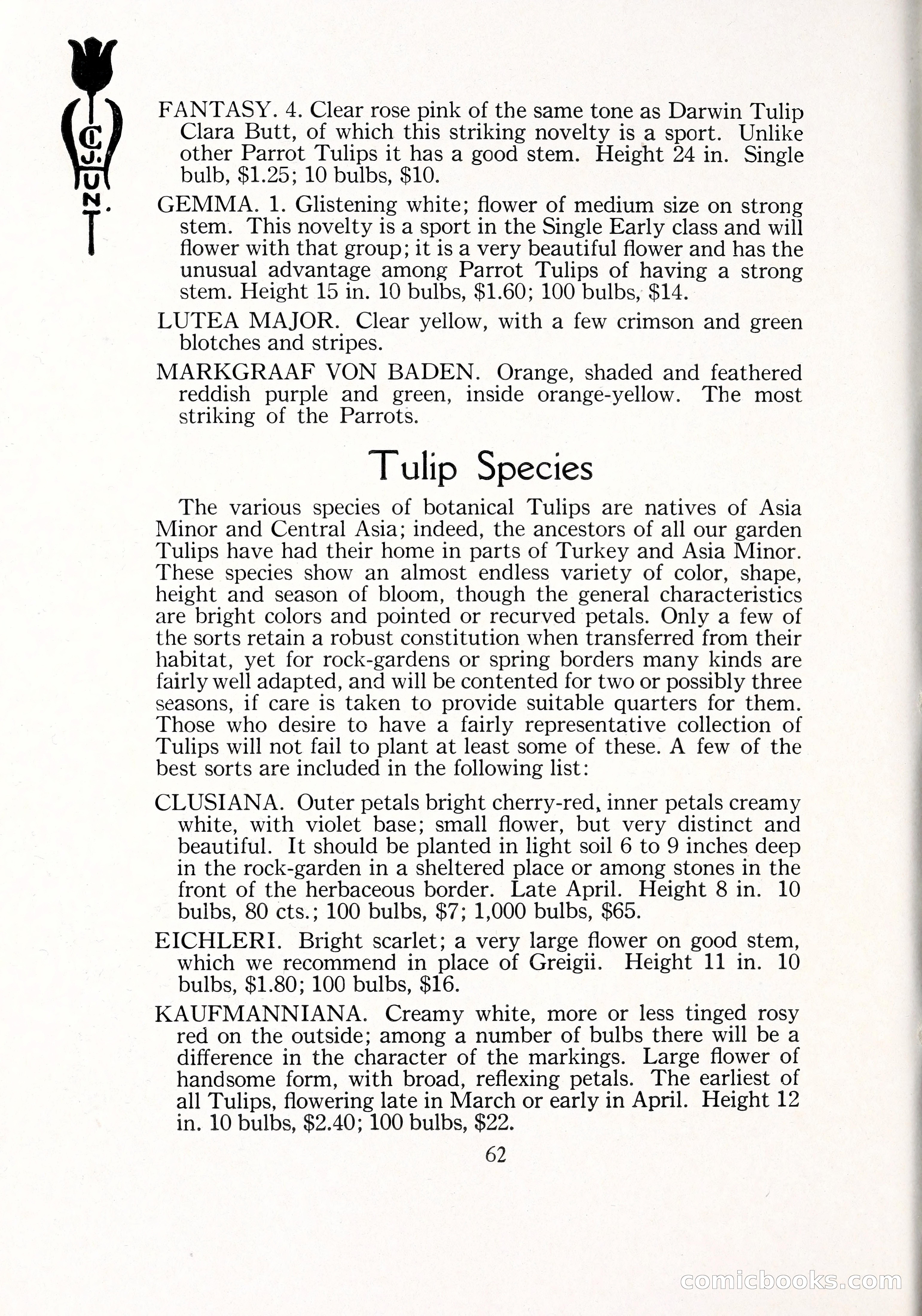 Blue Book of Bulbs, 1929 — page 89 of 125
