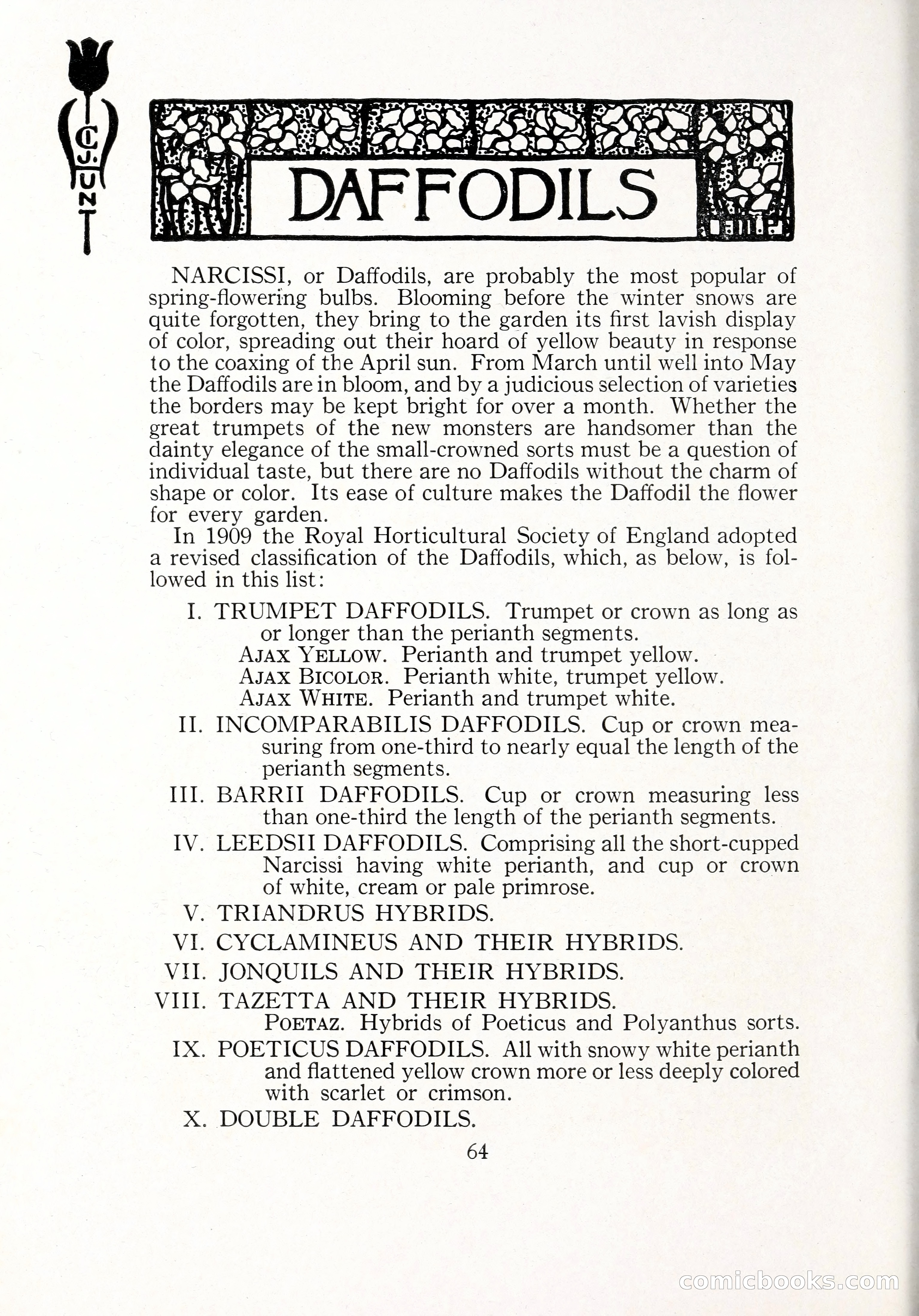 Blue Book of Bulbs, 1929 — page 91 of 125