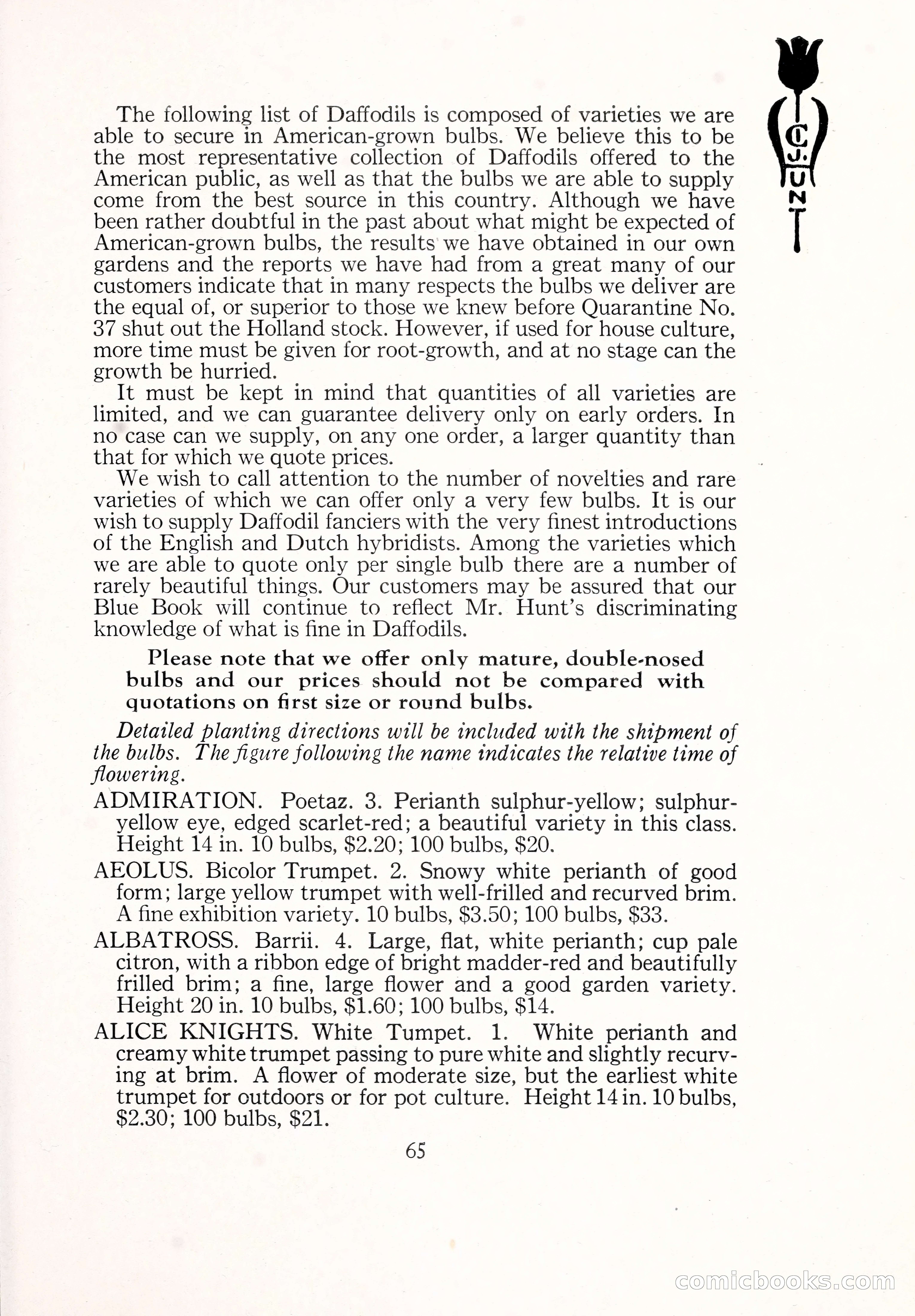 Blue Book of Bulbs, 1929 — page 94 of 125