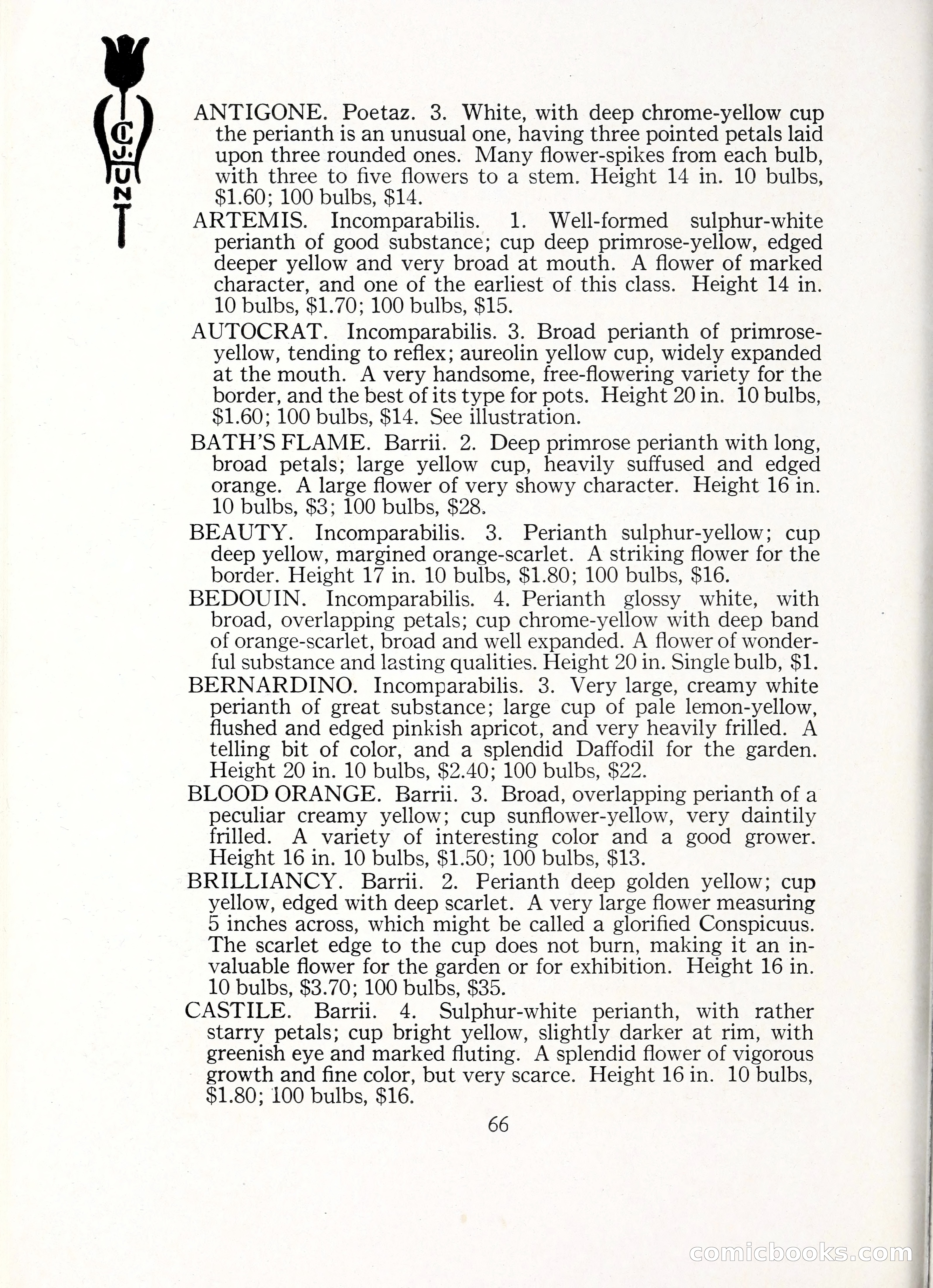 Blue Book of Bulbs, 1929 — page 95 of 125