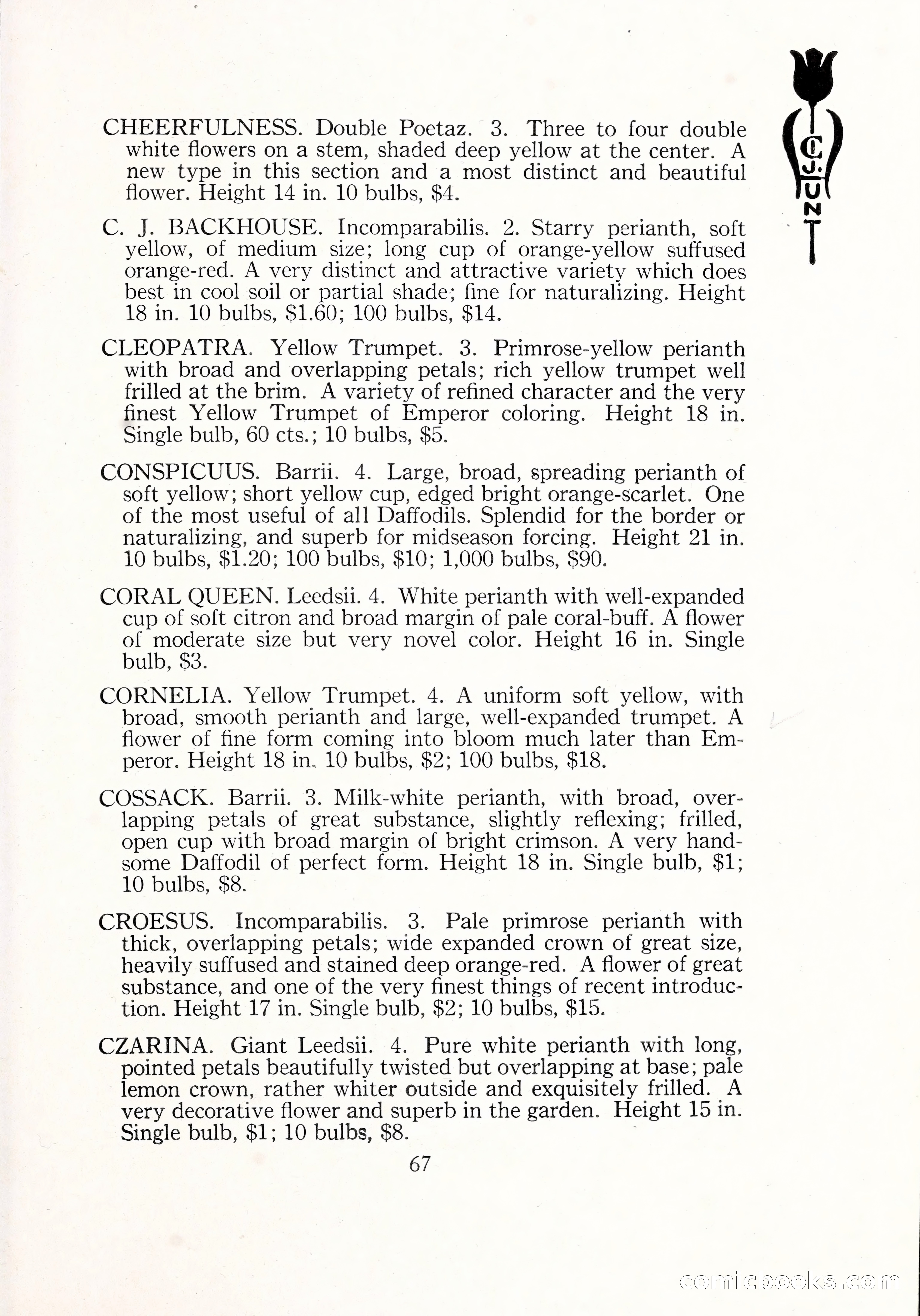 Blue Book of Bulbs, 1929 — page 98 of 125