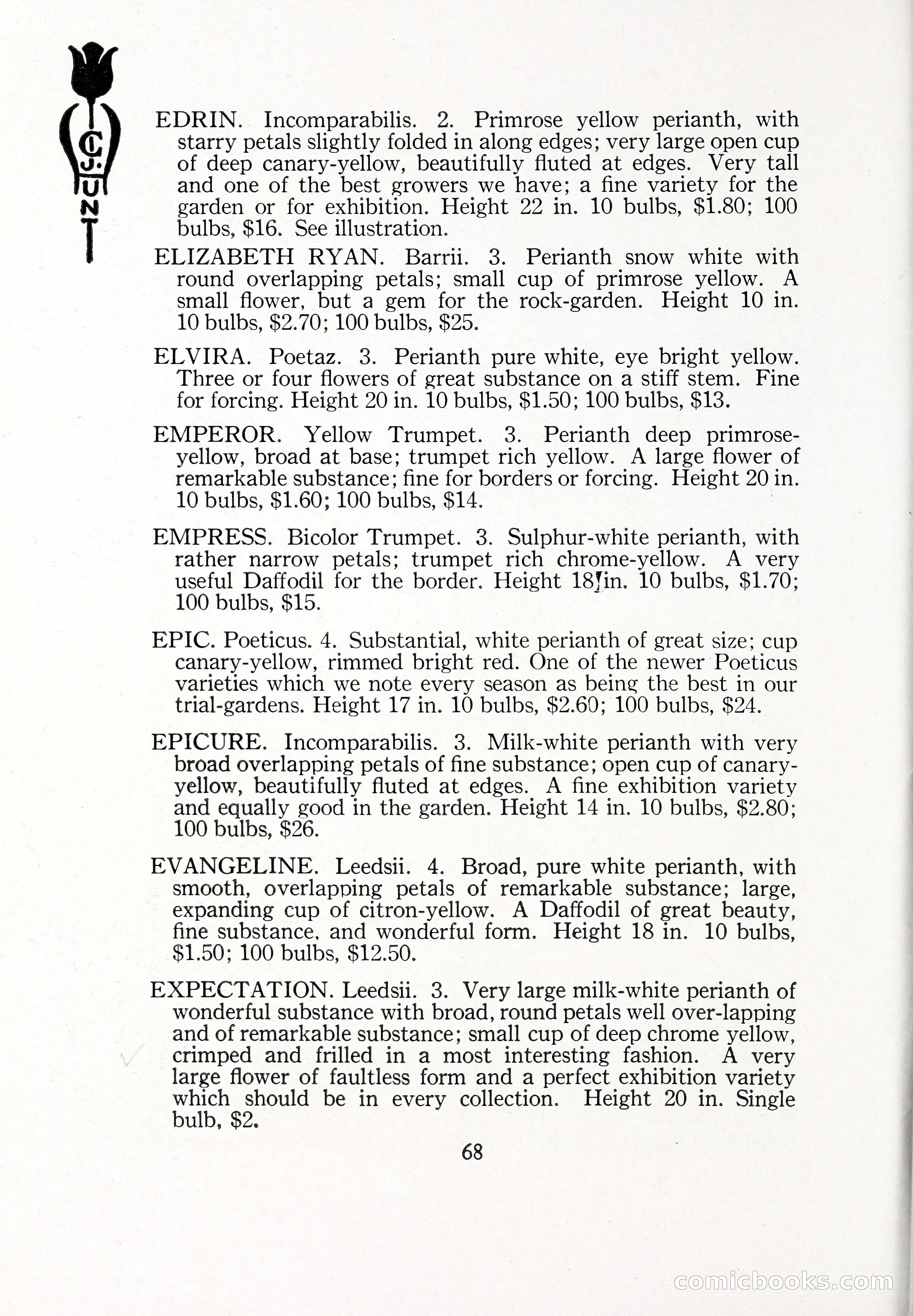 Blue Book of Bulbs, 1929 — page 99 of 125