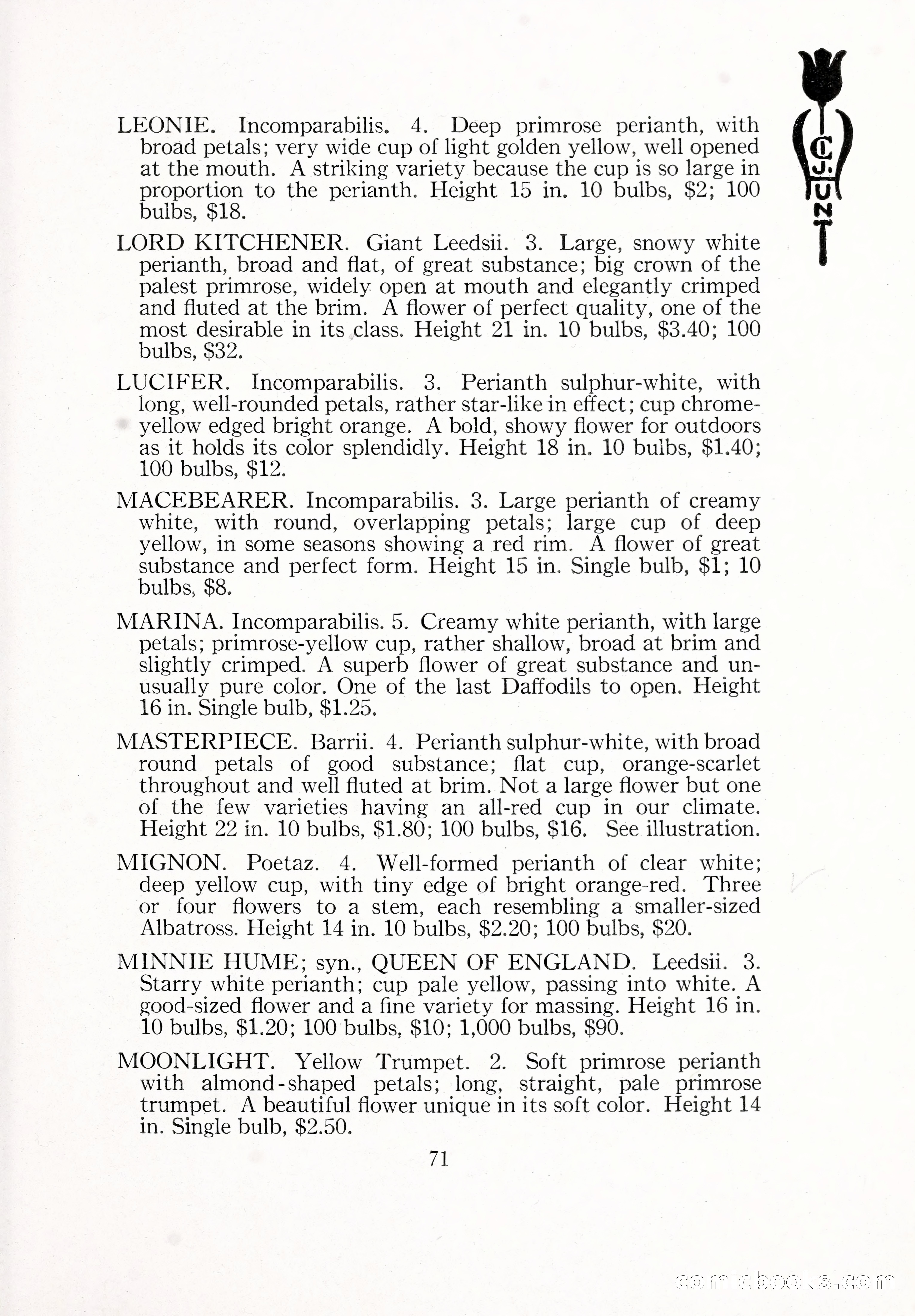 Blue Book of Bulbs, 1929 — page 104 of 125