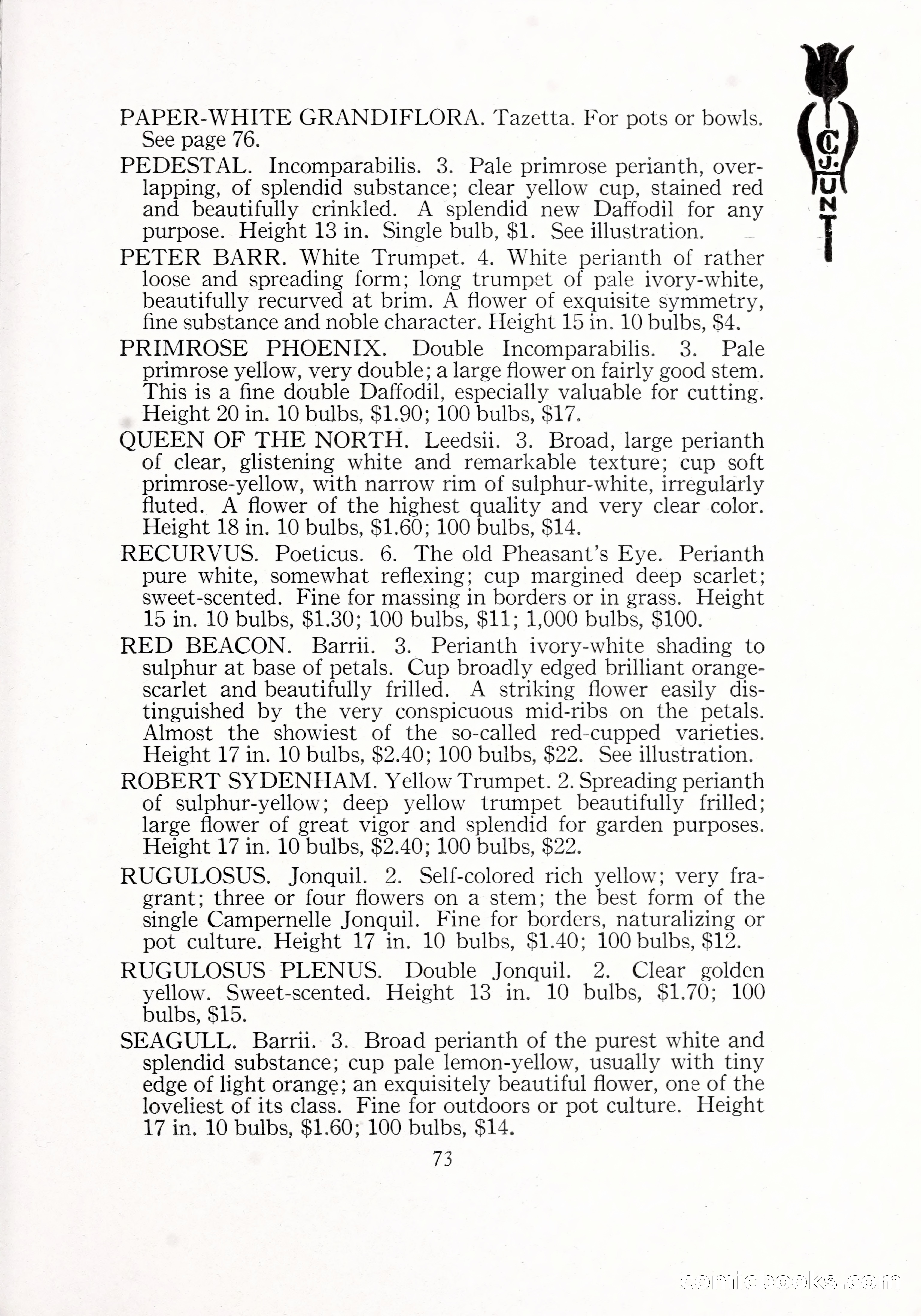 Blue Book of Bulbs, 1929 — page 108 of 125
