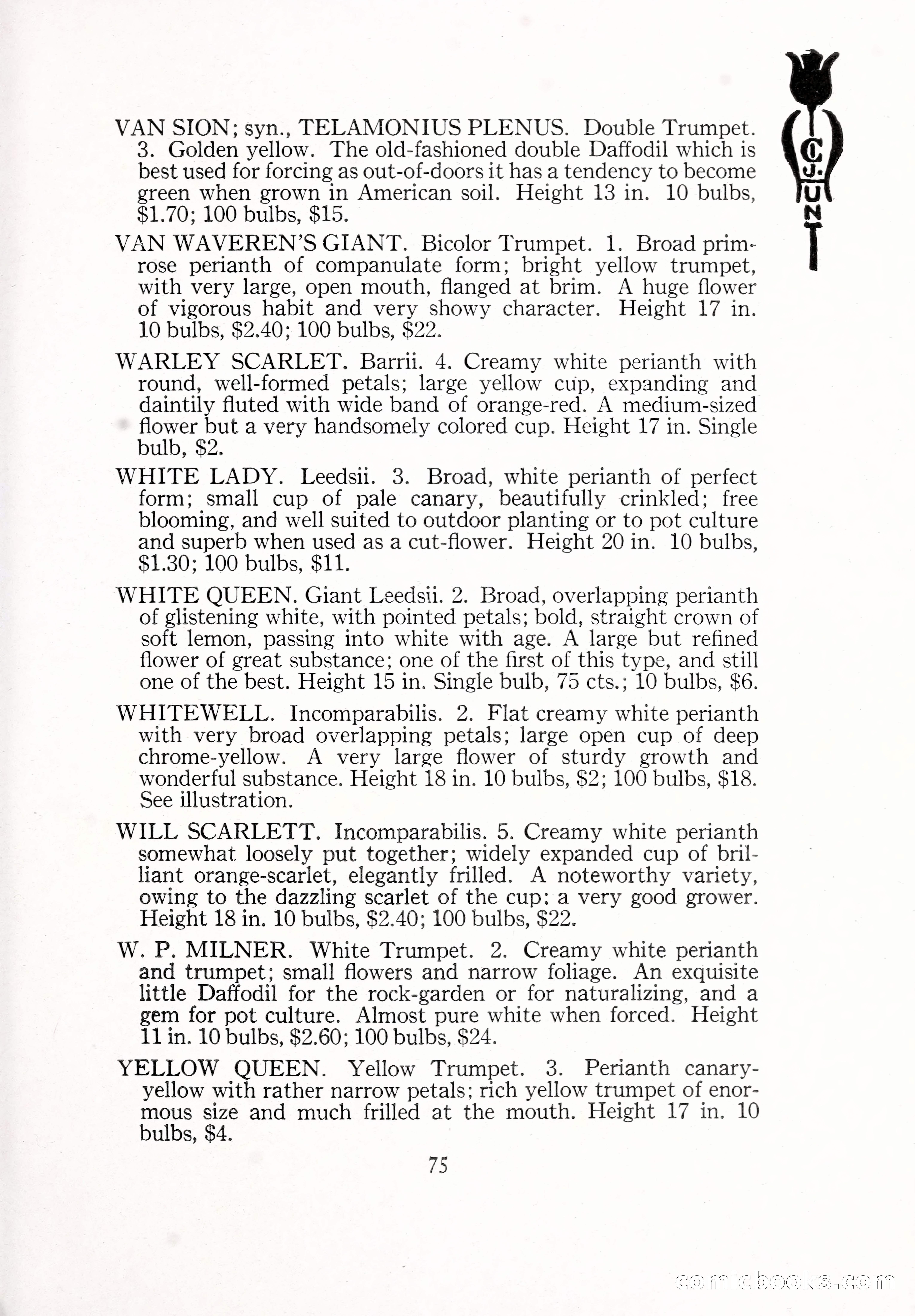 Blue Book of Bulbs, 1929 — page 112 of 125