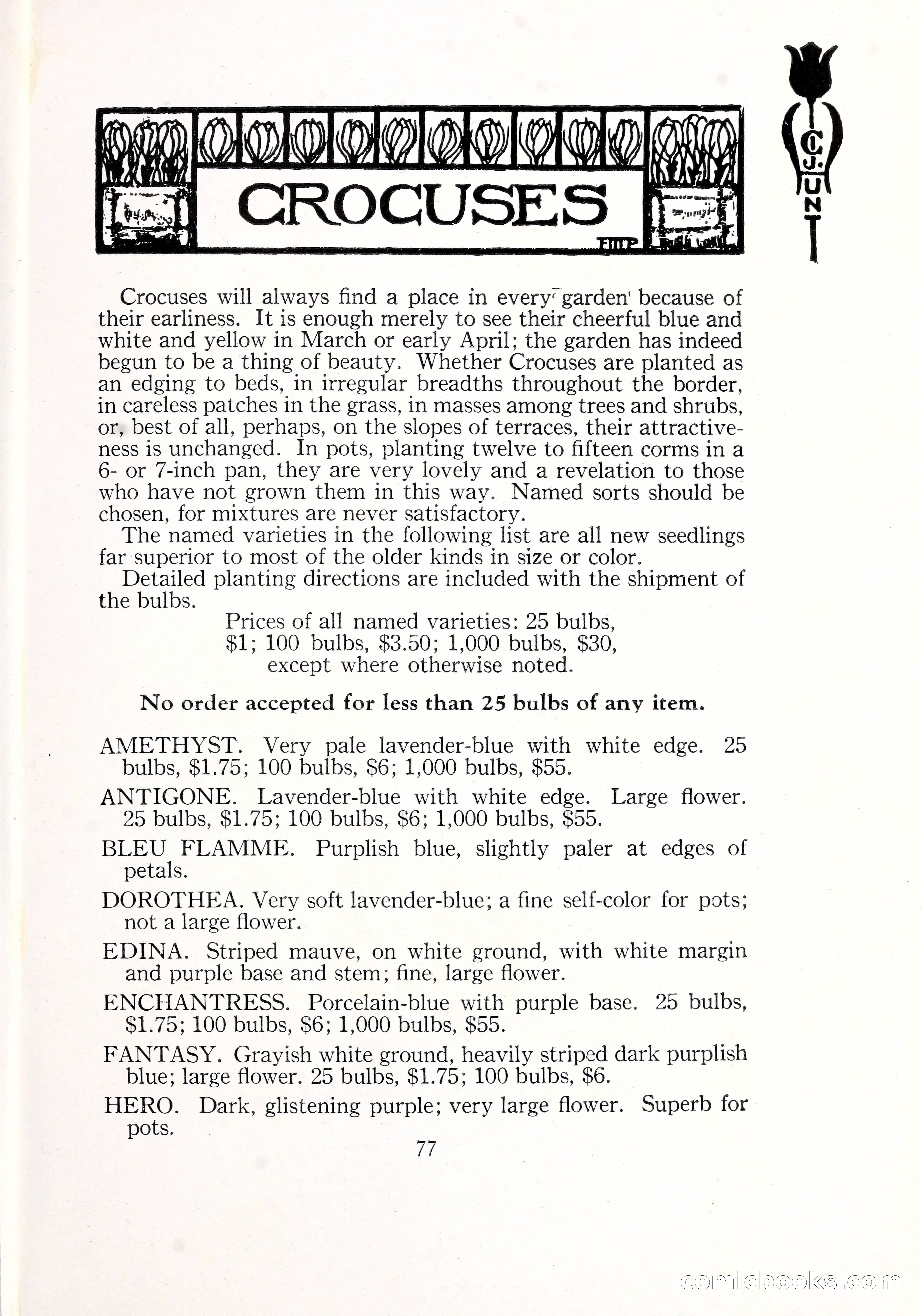 Blue Book of Bulbs, 1929 — page 114 of 125