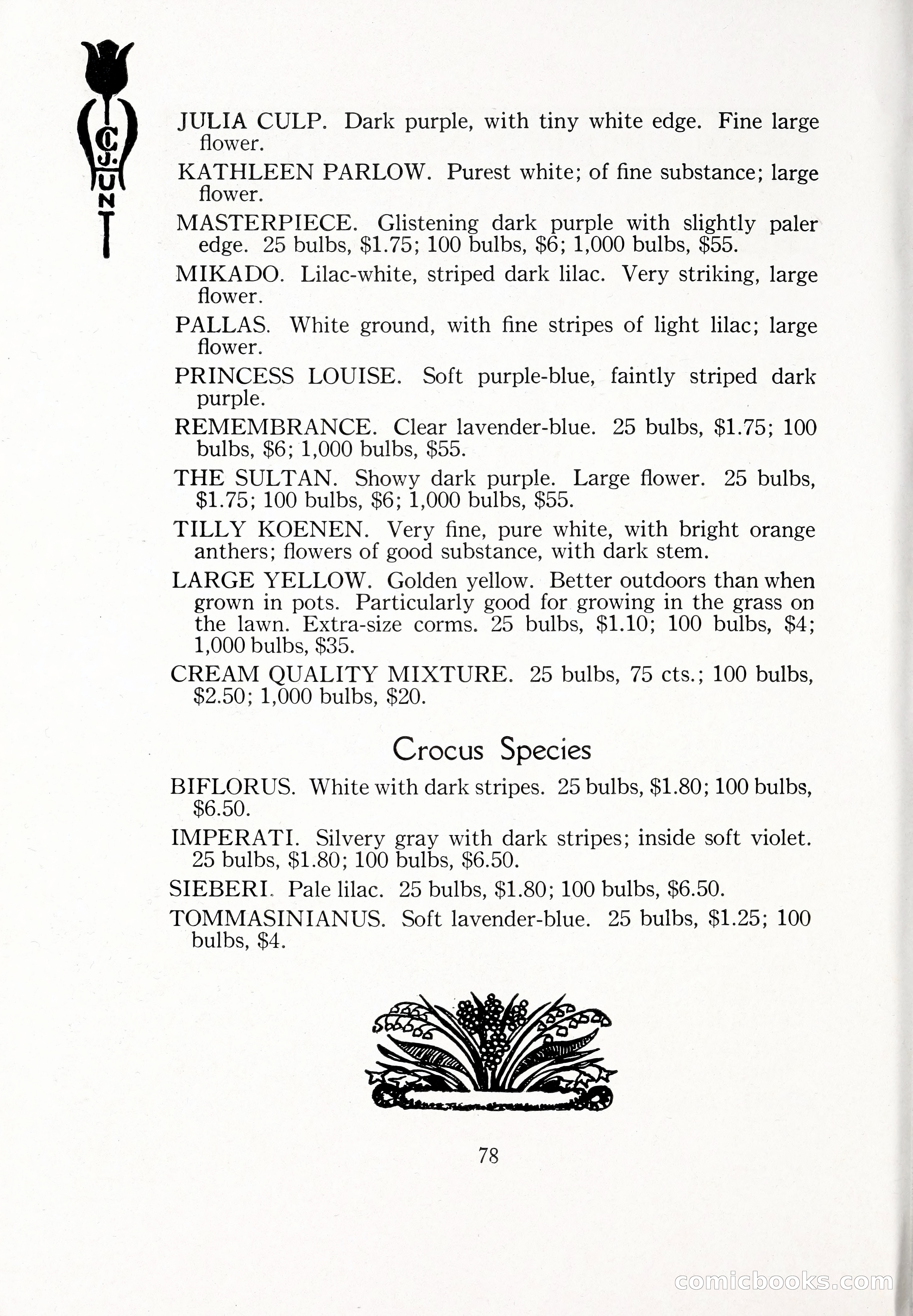 Blue Book of Bulbs, 1929 — page 115 of 125