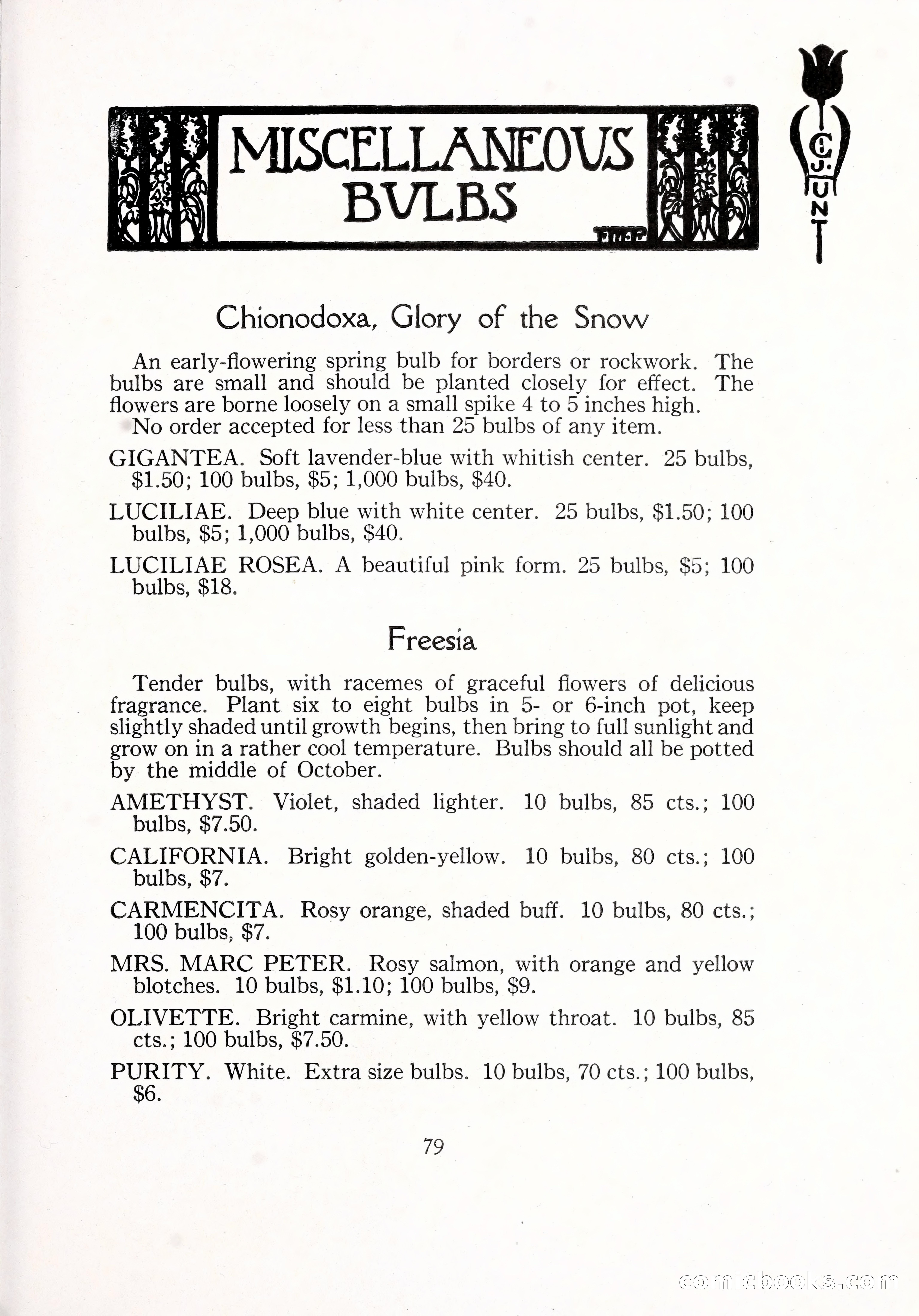 Blue Book of Bulbs, 1929 — page 116 of 125