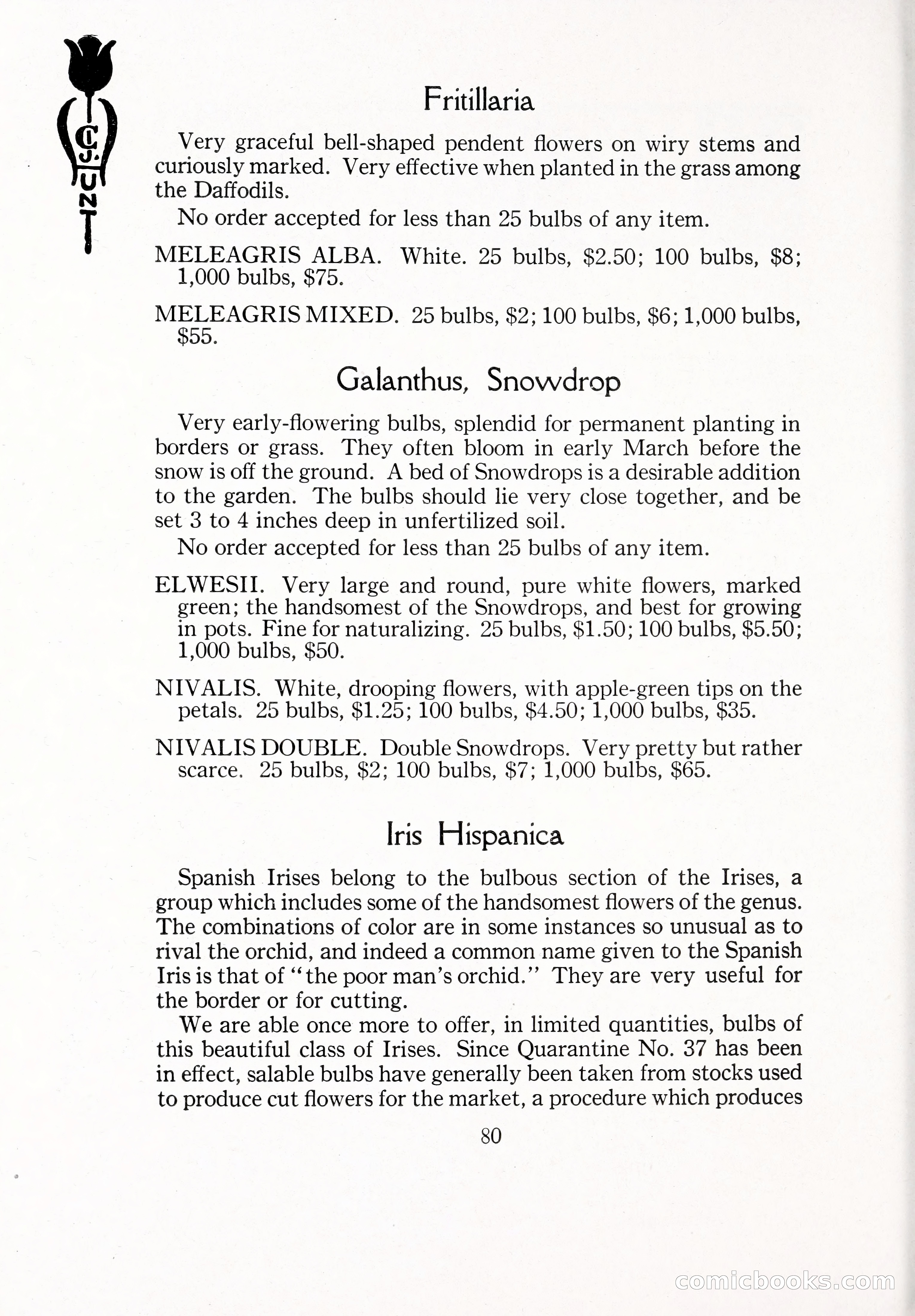 Blue Book of Bulbs, 1929 — page 117 of 125