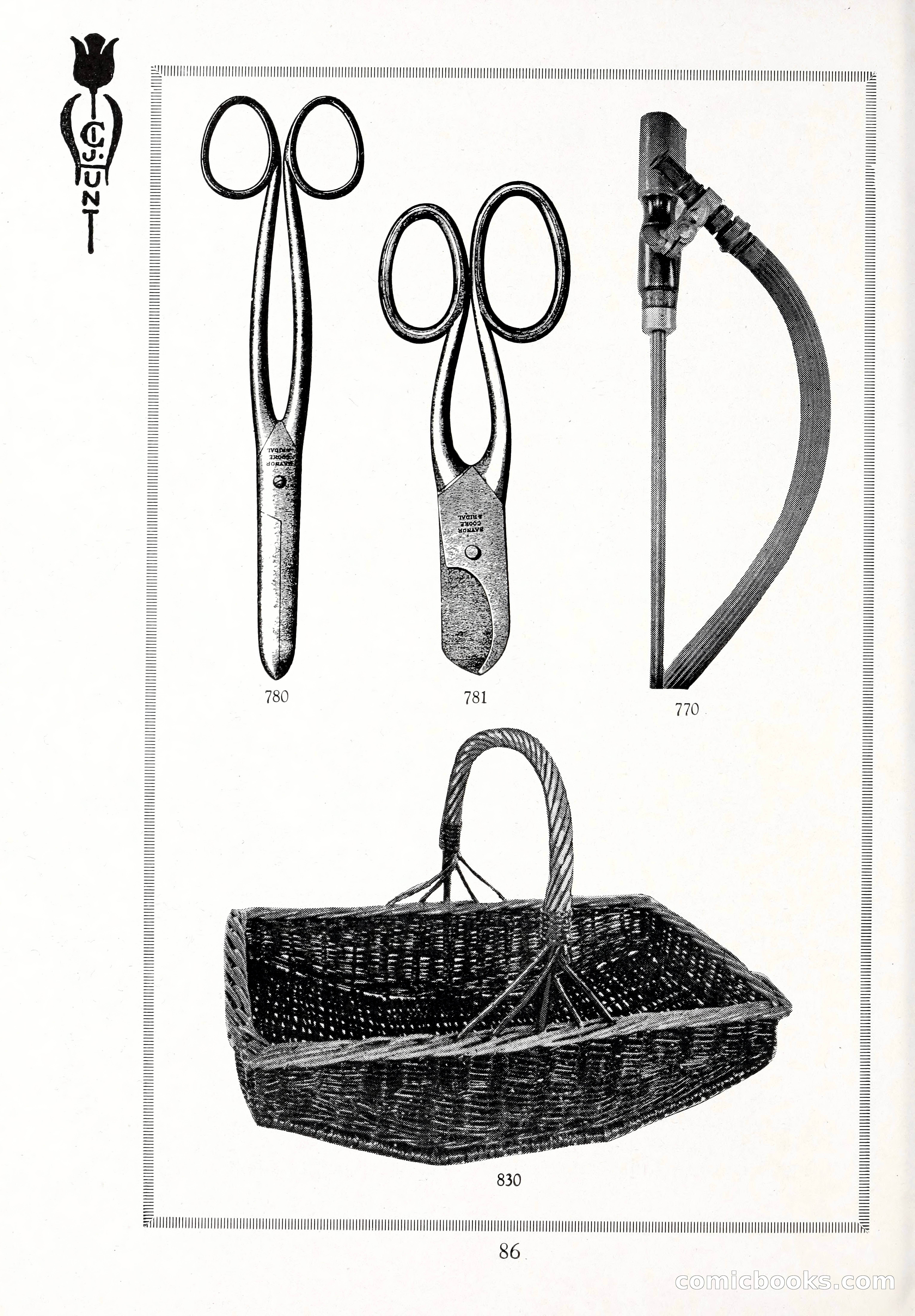 Blue Book of Bulbs, 1929 — page 123 of 125