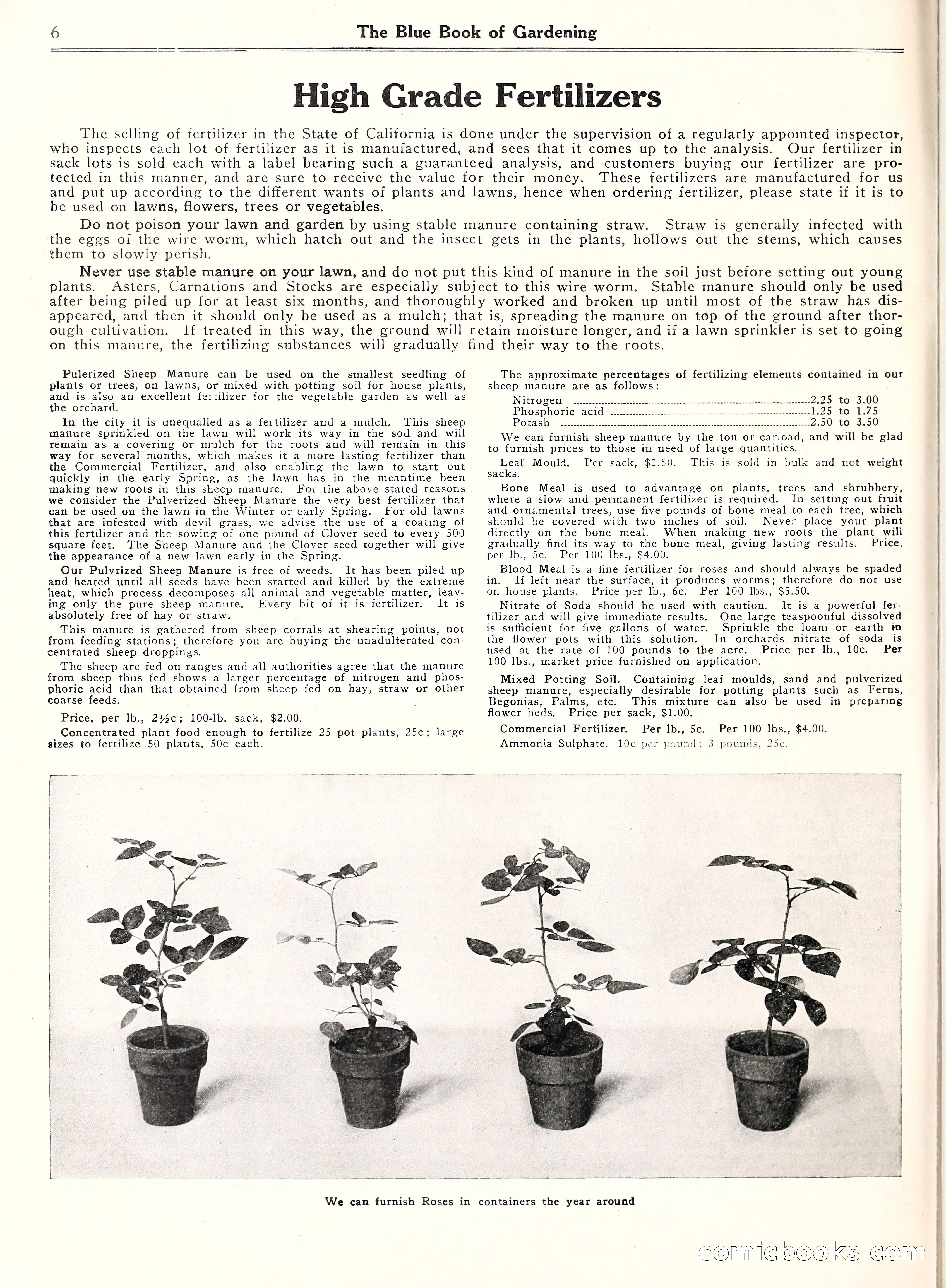 Blue Book of Gardening, 1929 — page 11 of 69