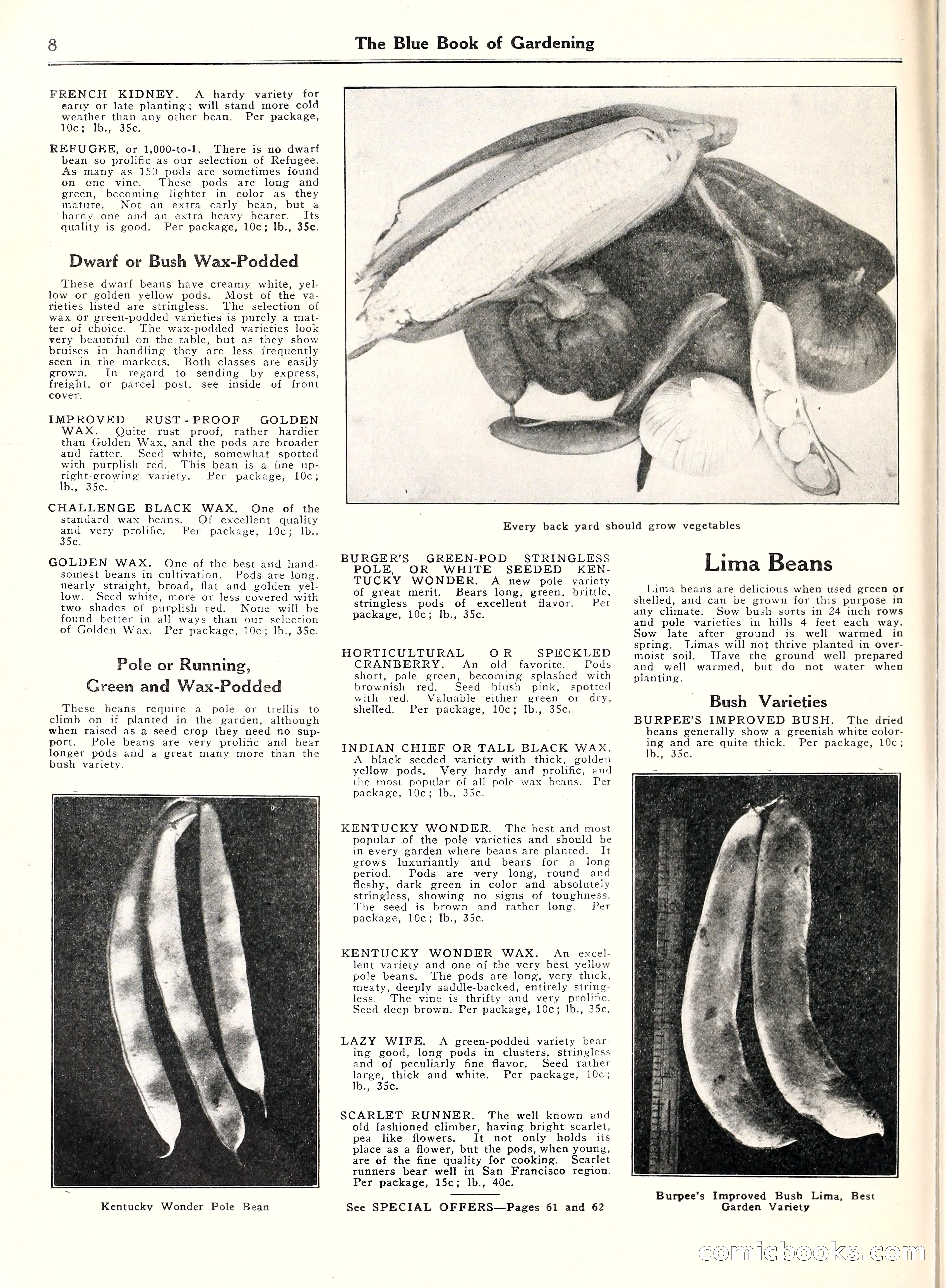 Blue Book of Gardening, 1929 — page 13 of 69