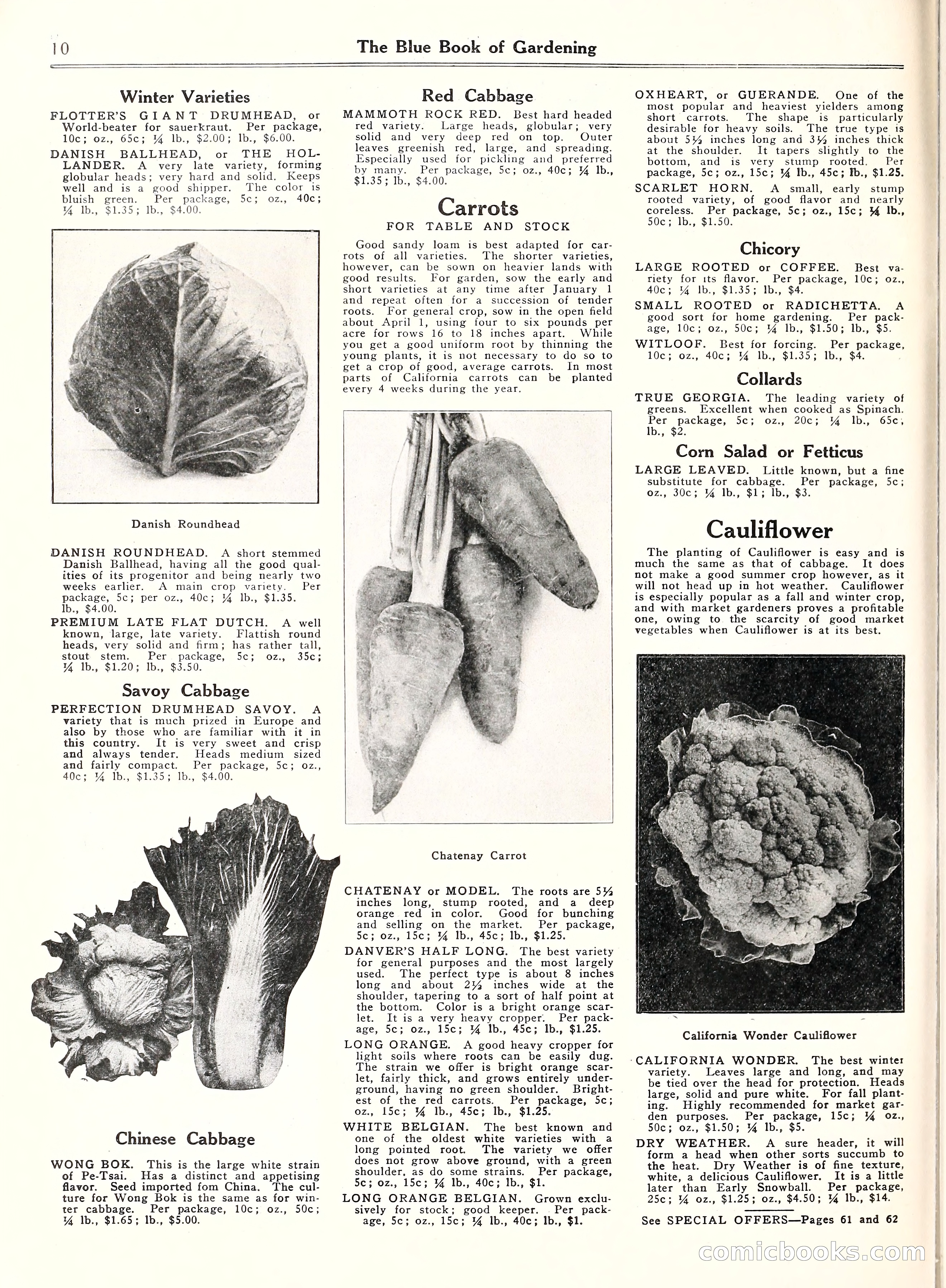 Blue Book of Gardening, 1929 — page 15 of 69
