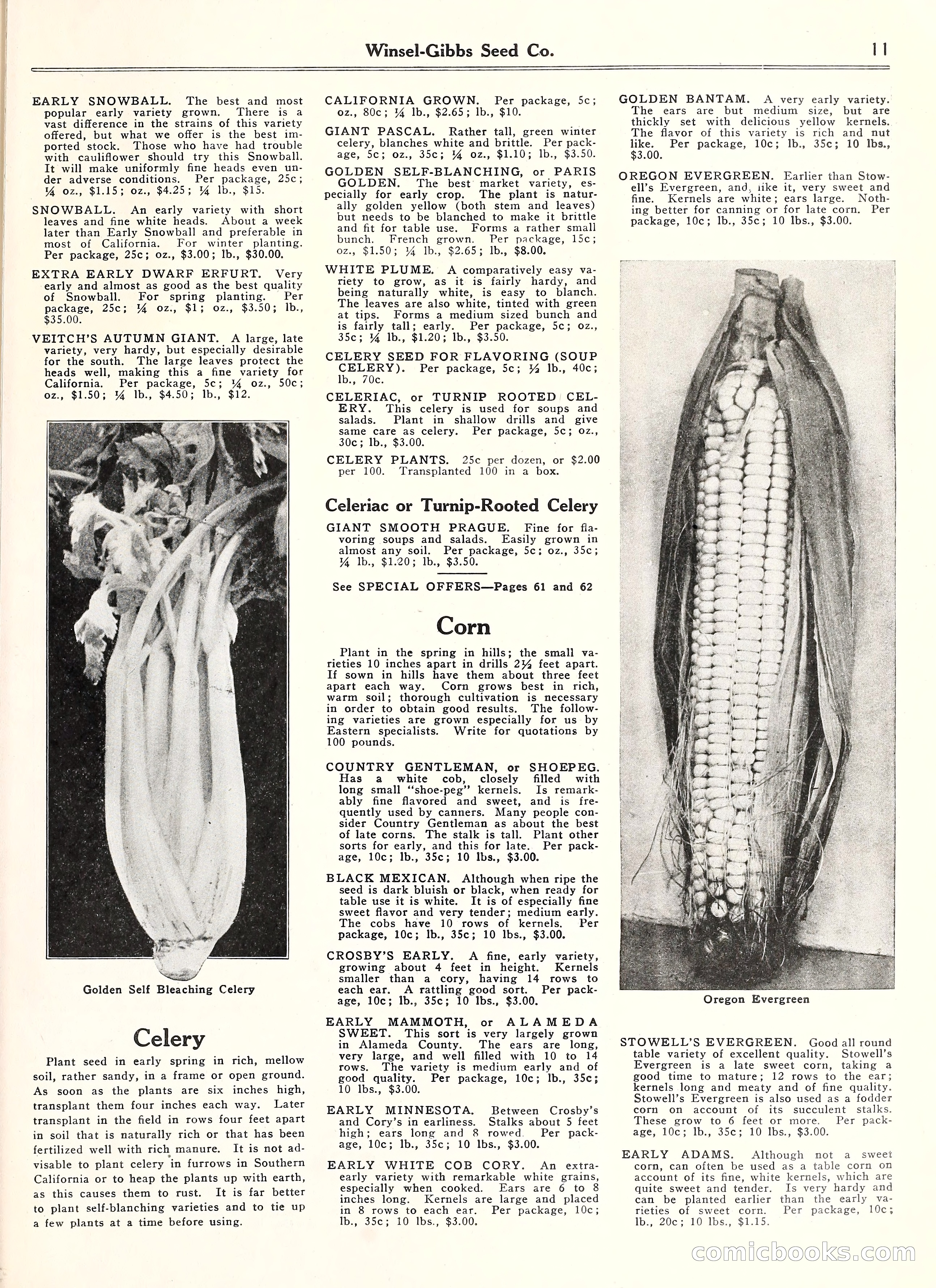 Blue Book of Gardening, 1929 — page 16 of 69