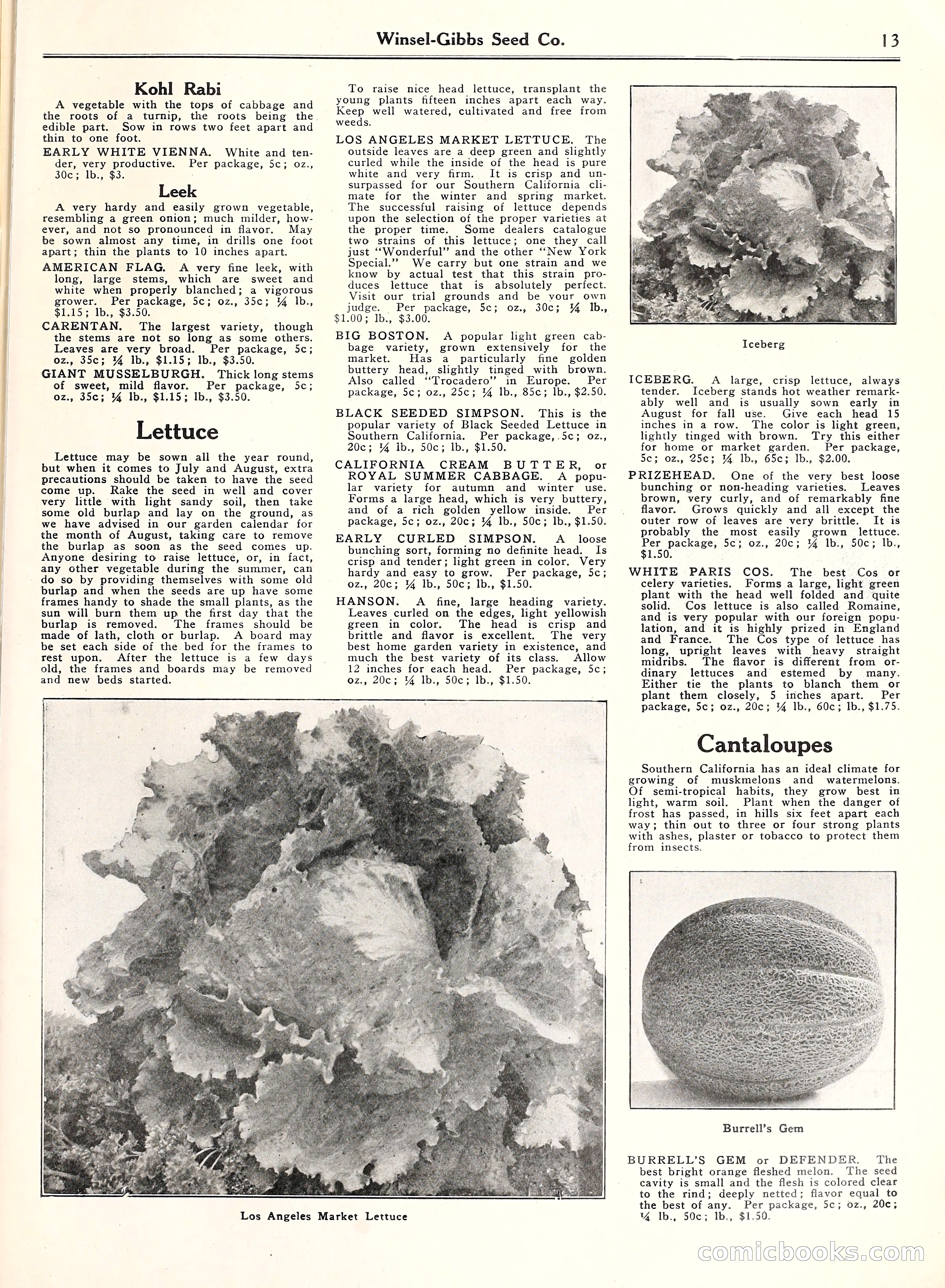 Blue Book of Gardening, 1929 — page 18 of 69