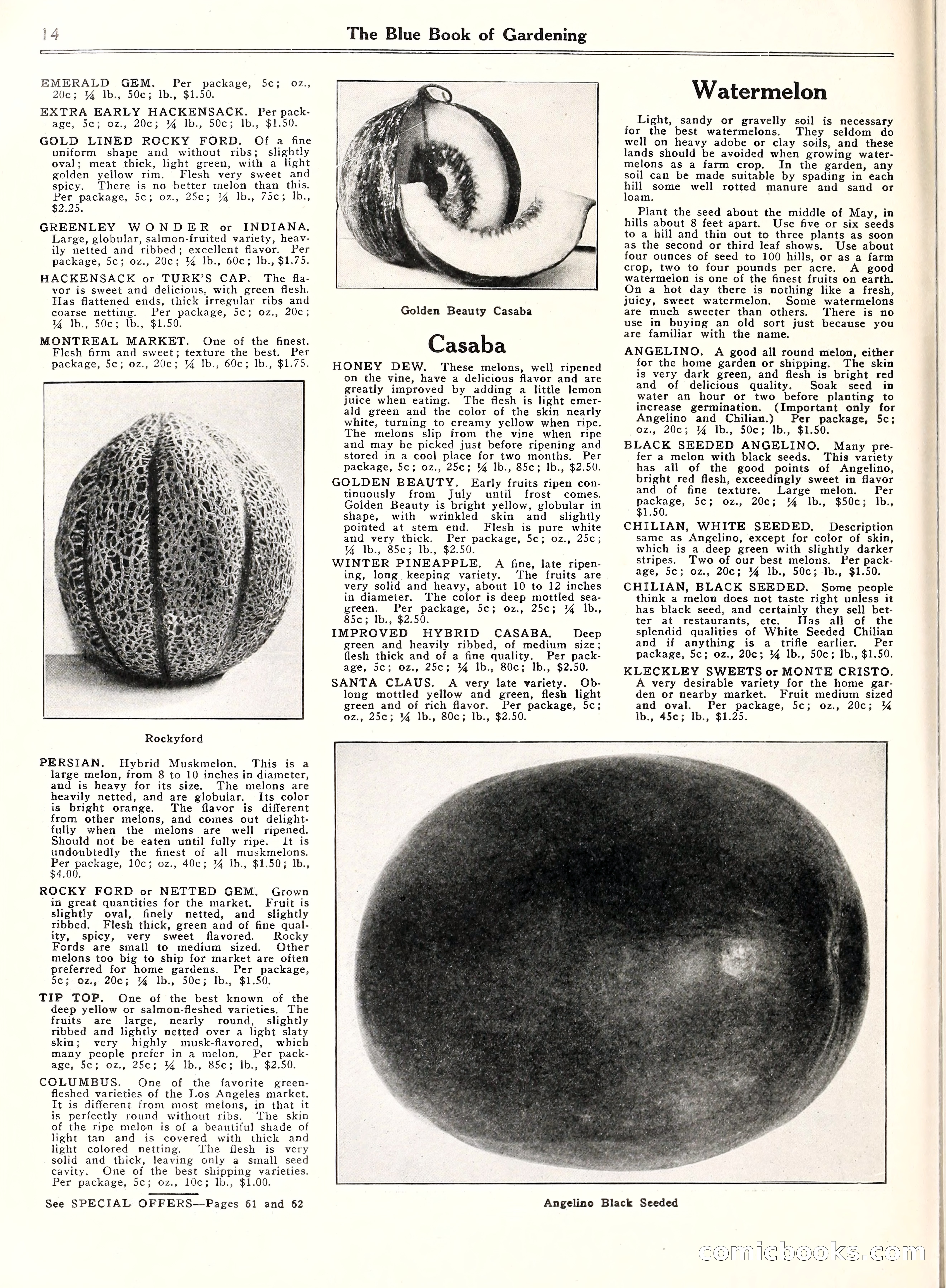 Blue Book of Gardening, 1929 — page 19 of 69