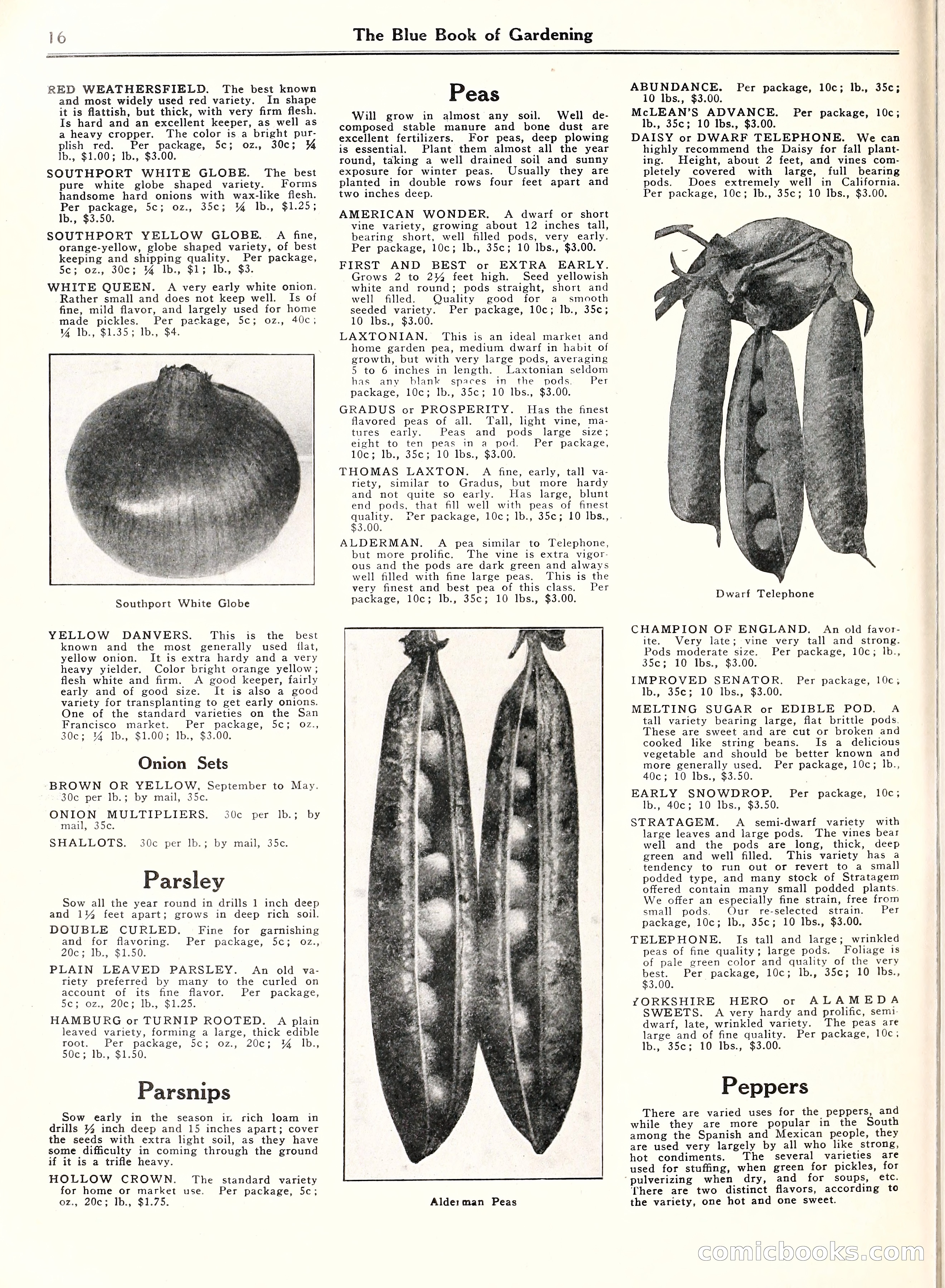 Blue Book of Gardening, 1929 — page 21 of 69