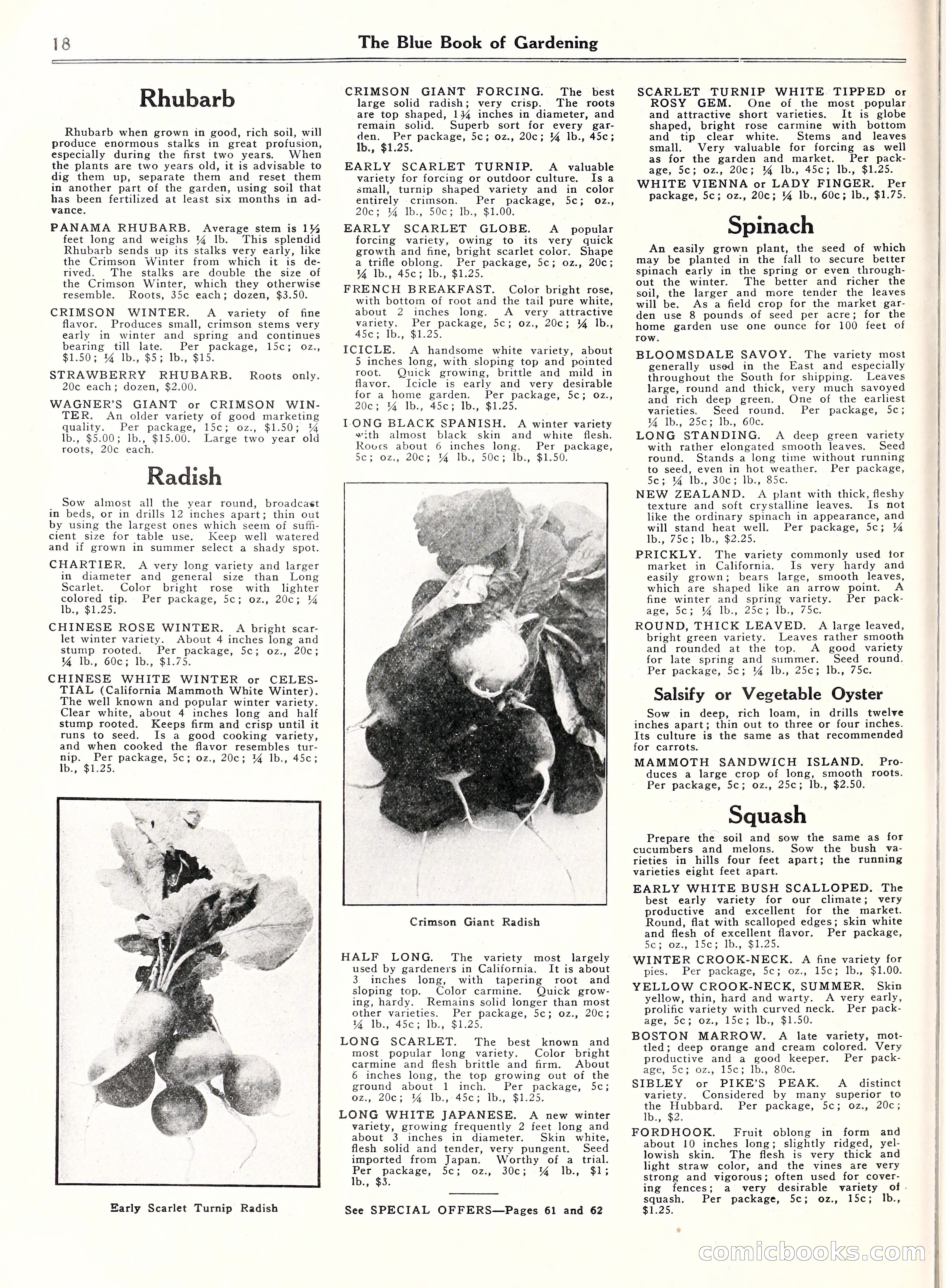 Blue Book of Gardening, 1929 — page 23 of 69