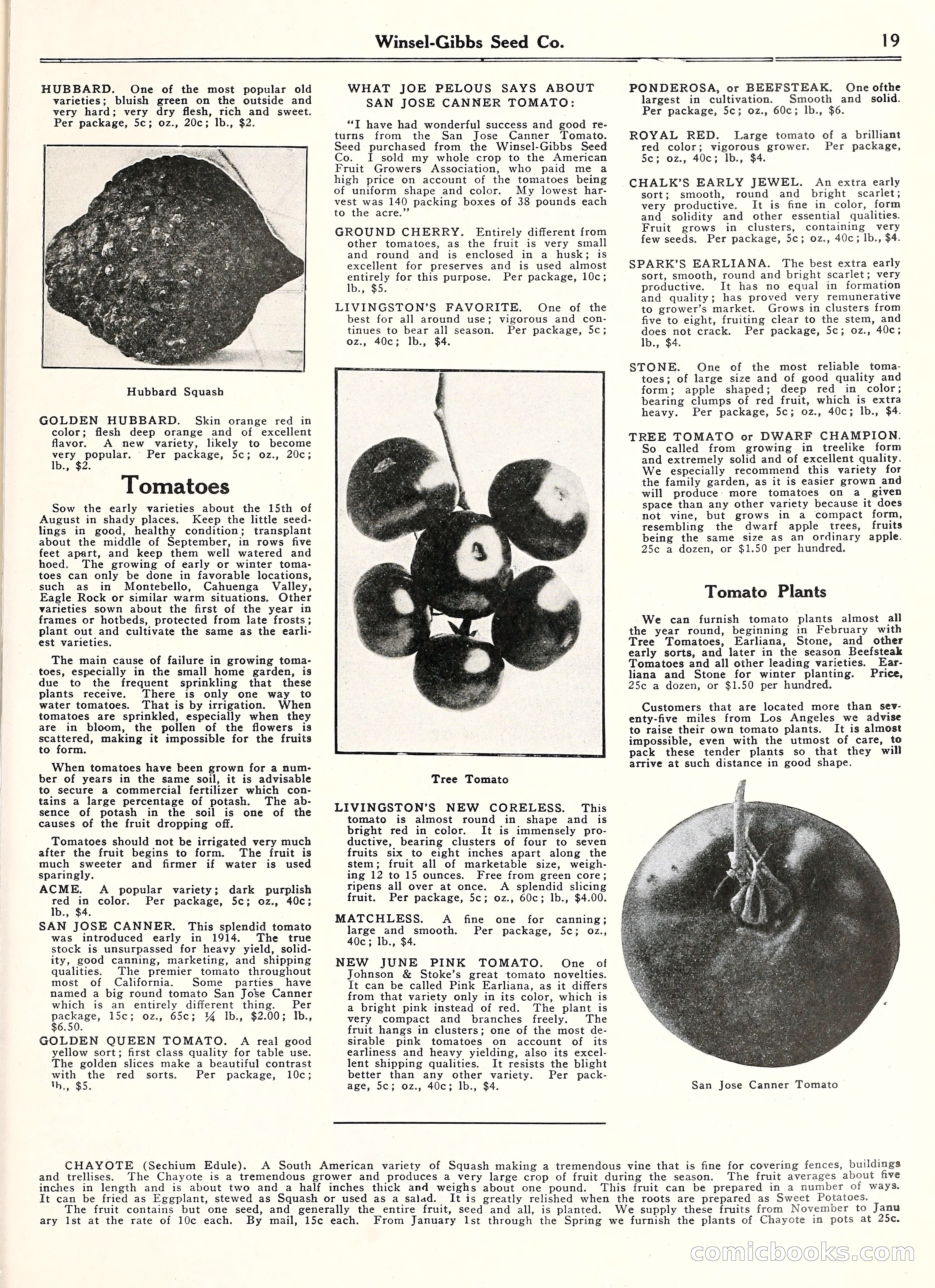 Blue Book of Gardening, 1929 — page 24 of 69