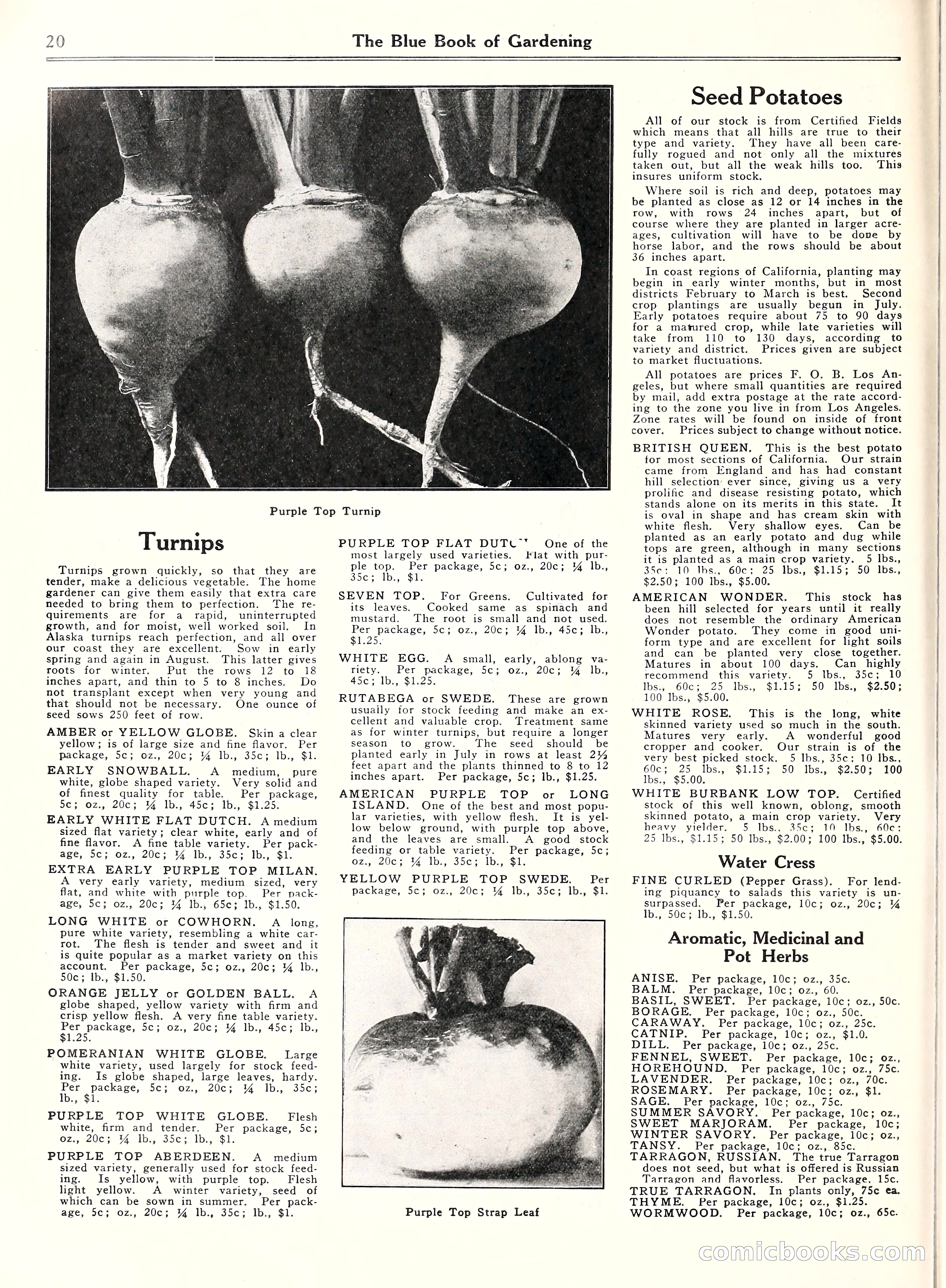 Blue Book of Gardening, 1929 — page 25 of 69