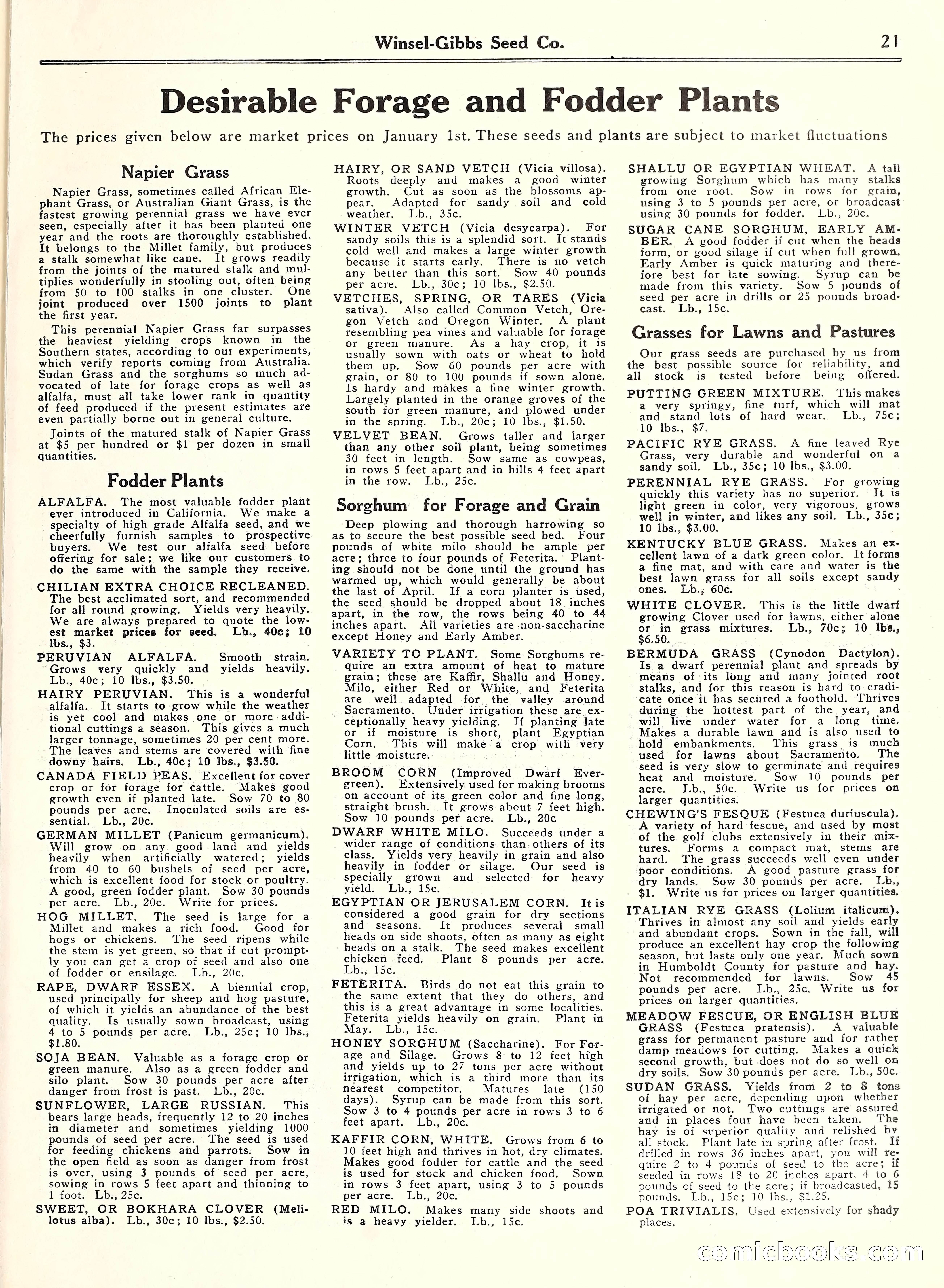 Blue Book of Gardening, 1929 — page 26 of 69