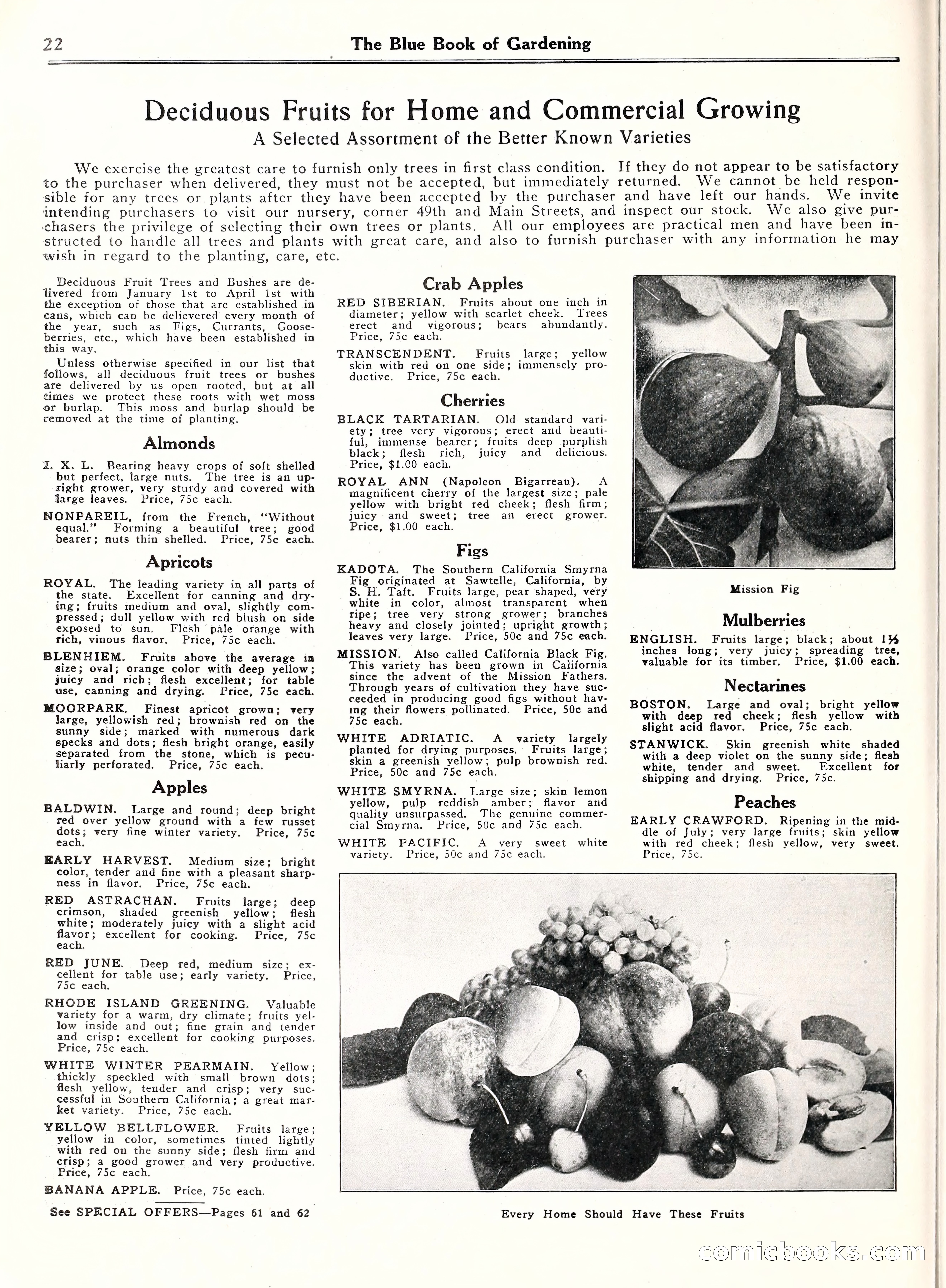 Blue Book of Gardening, 1929 — page 27 of 69