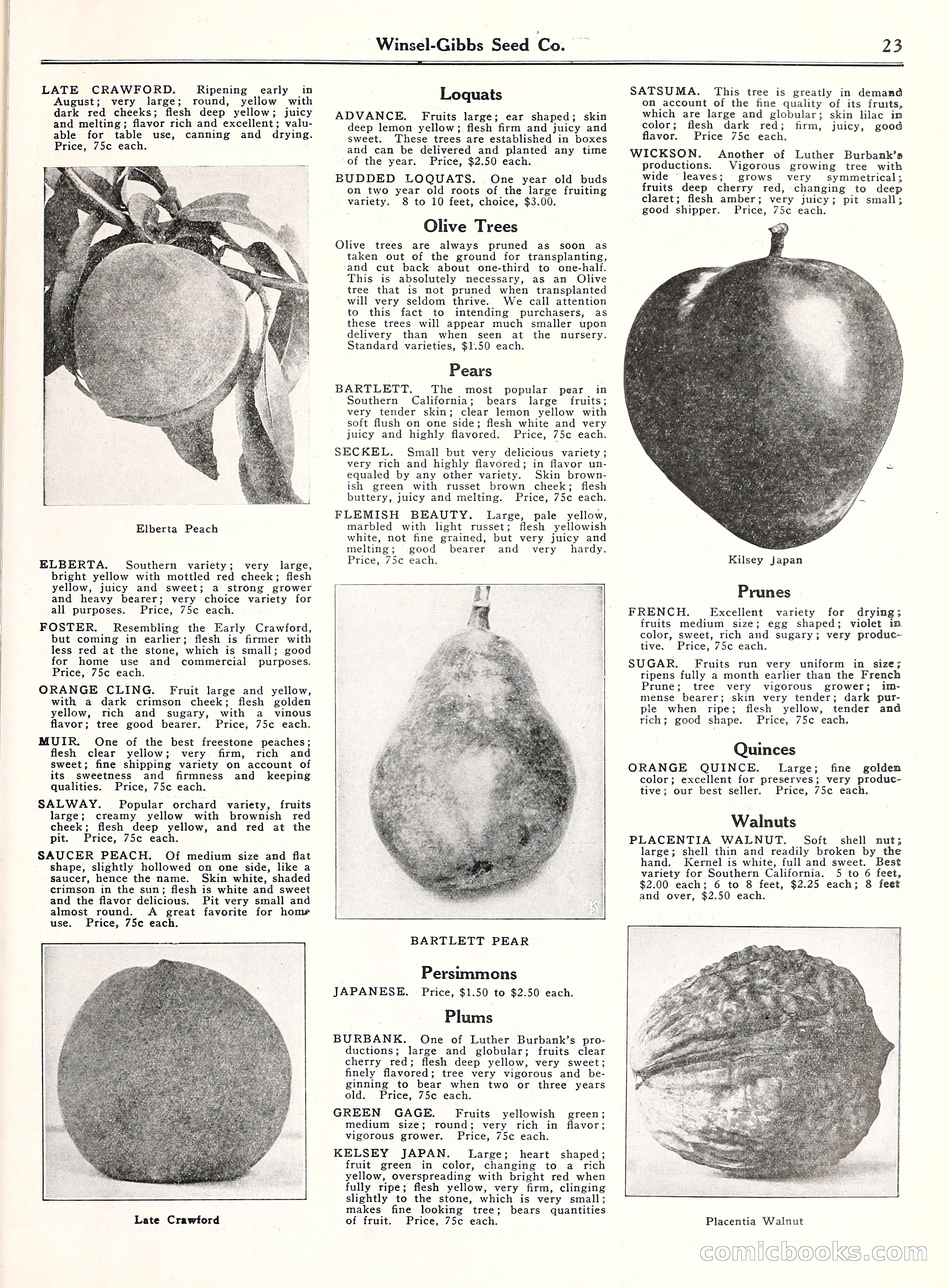Blue Book of Gardening, 1929 — page 28 of 69