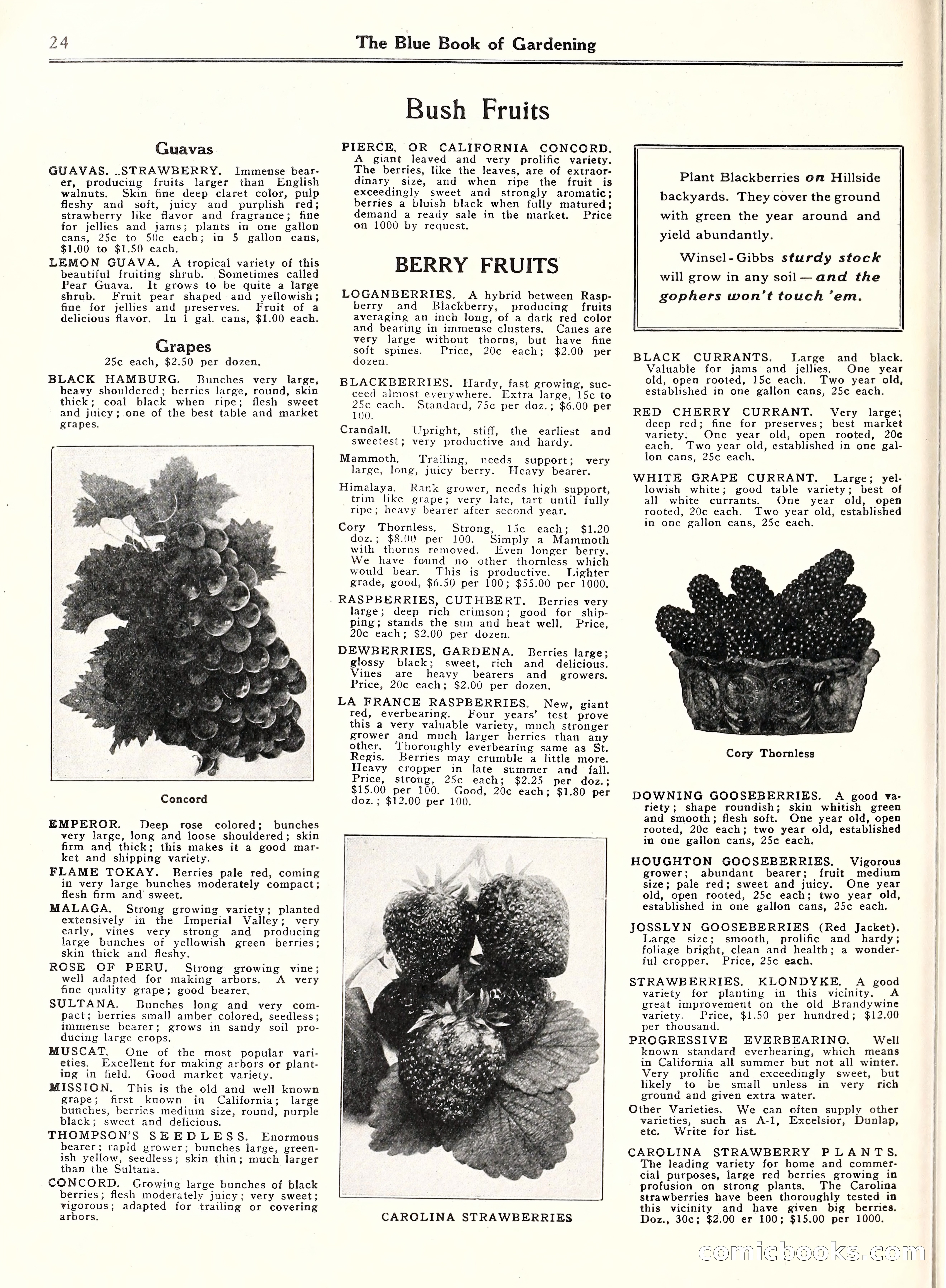 Blue Book of Gardening, 1929 — page 29 of 69