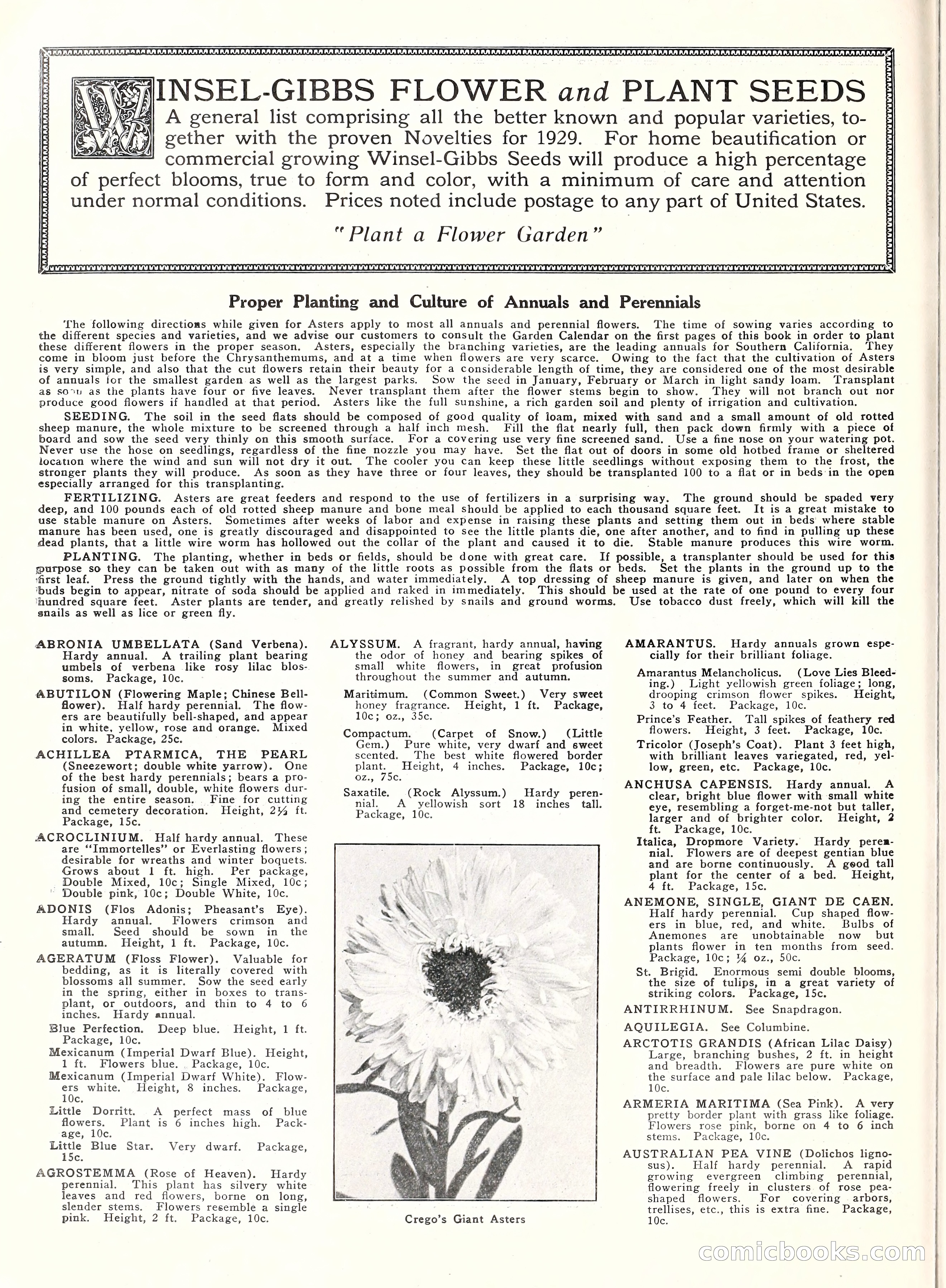 Blue Book of Gardening, 1929 — page 31 of 69