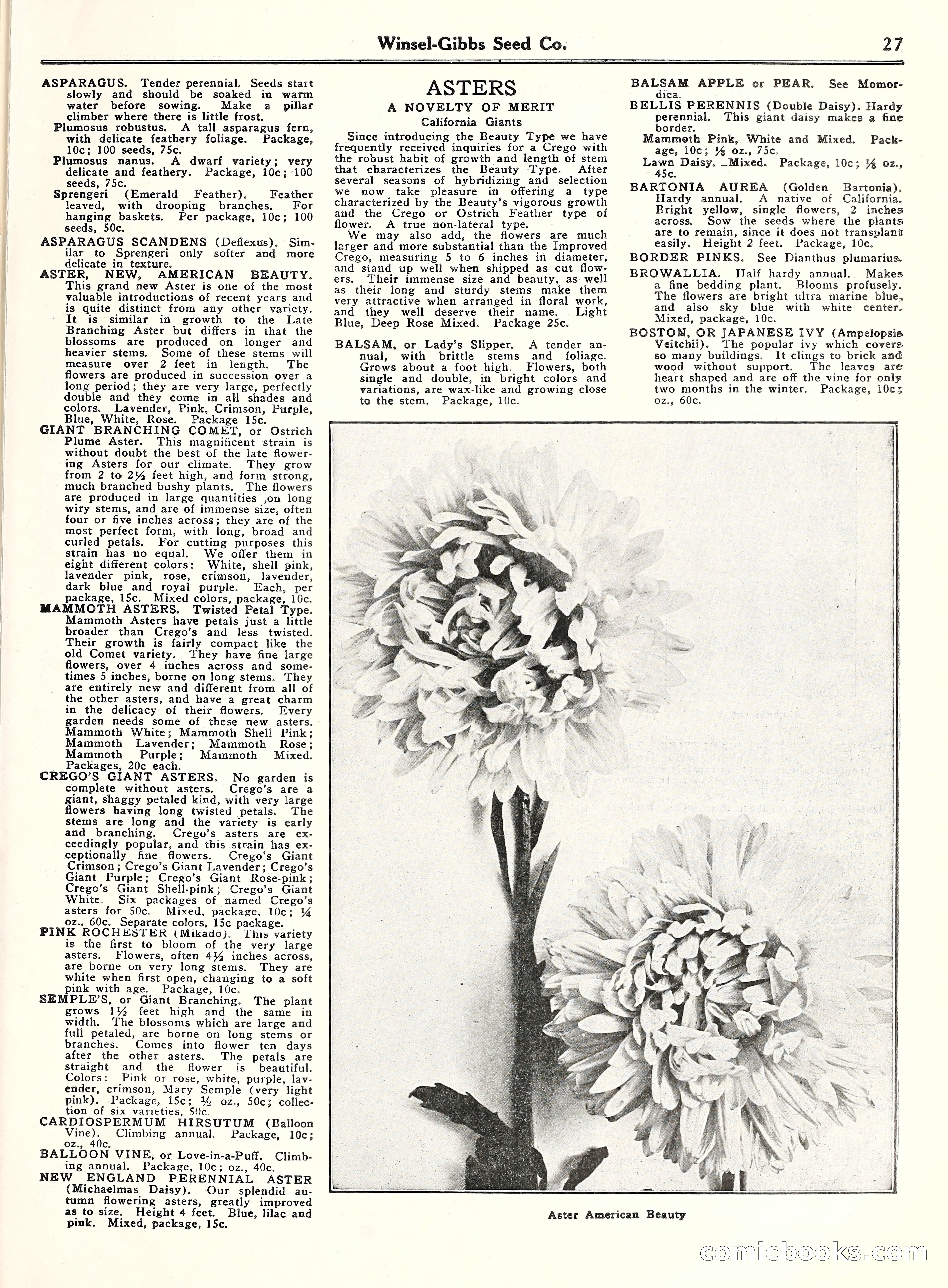 Blue Book of Gardening, 1929 — page 32 of 69