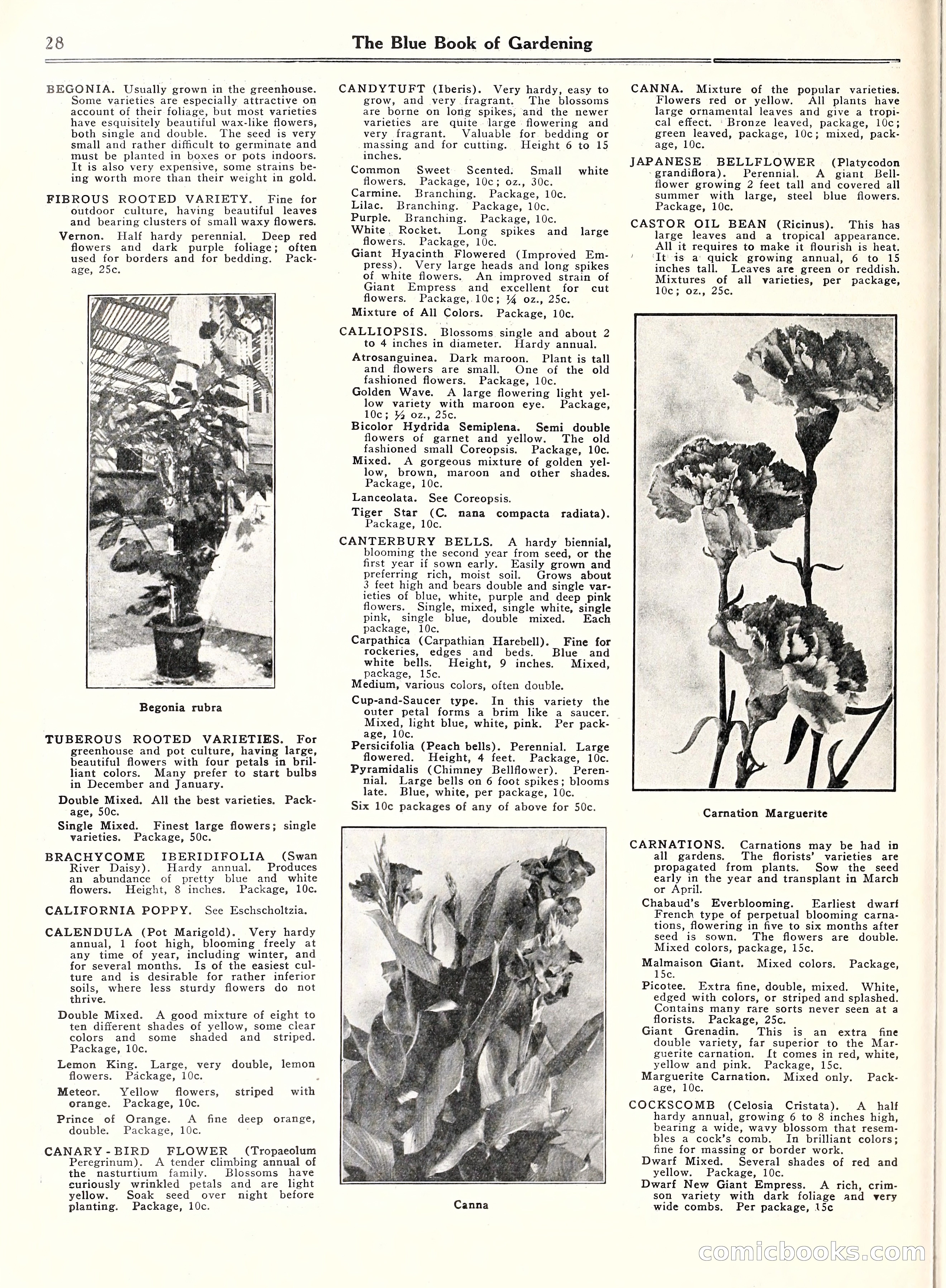 Blue Book of Gardening, 1929 — page 33 of 69