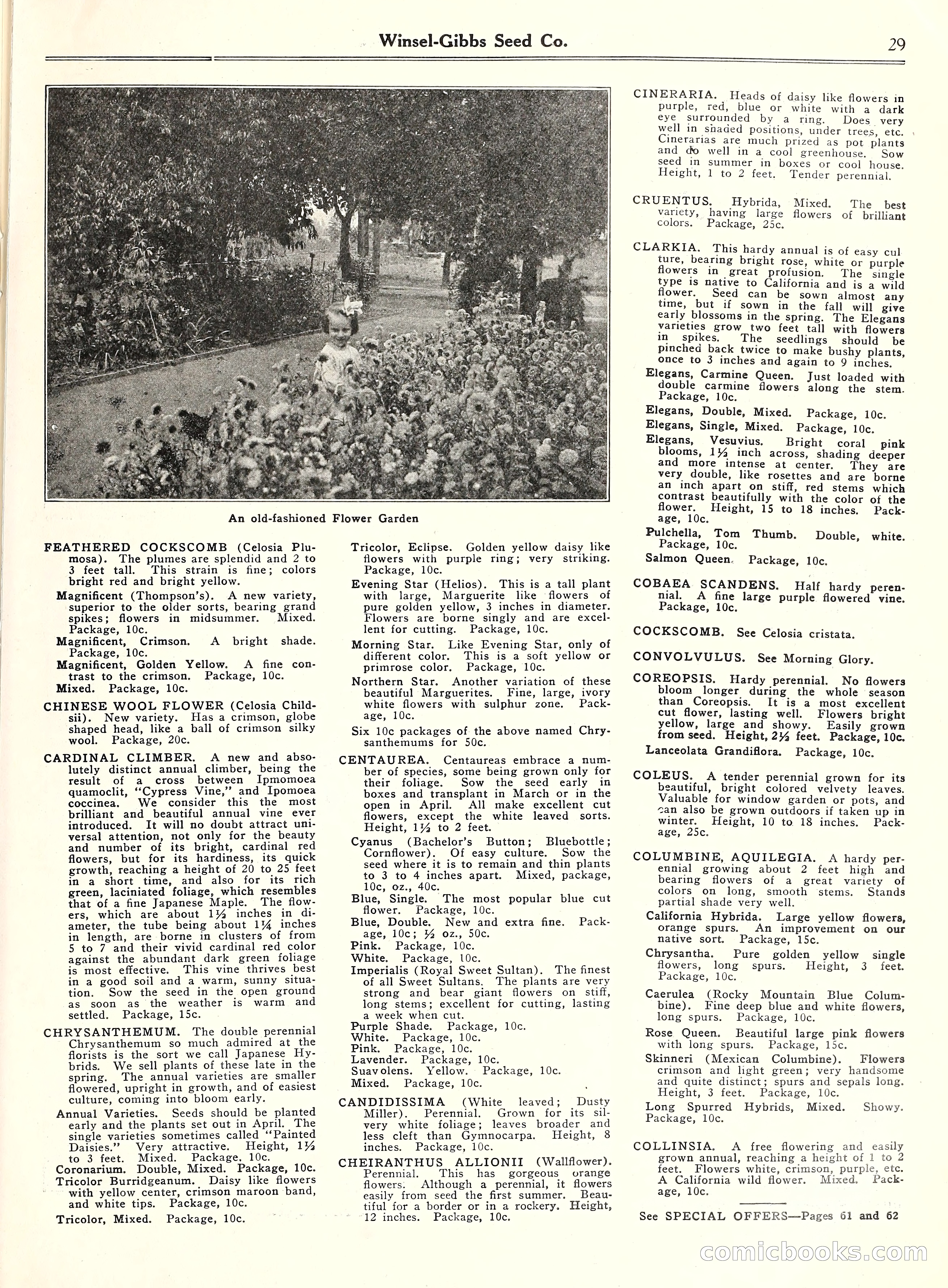 Blue Book of Gardening, 1929 — page 34 of 69