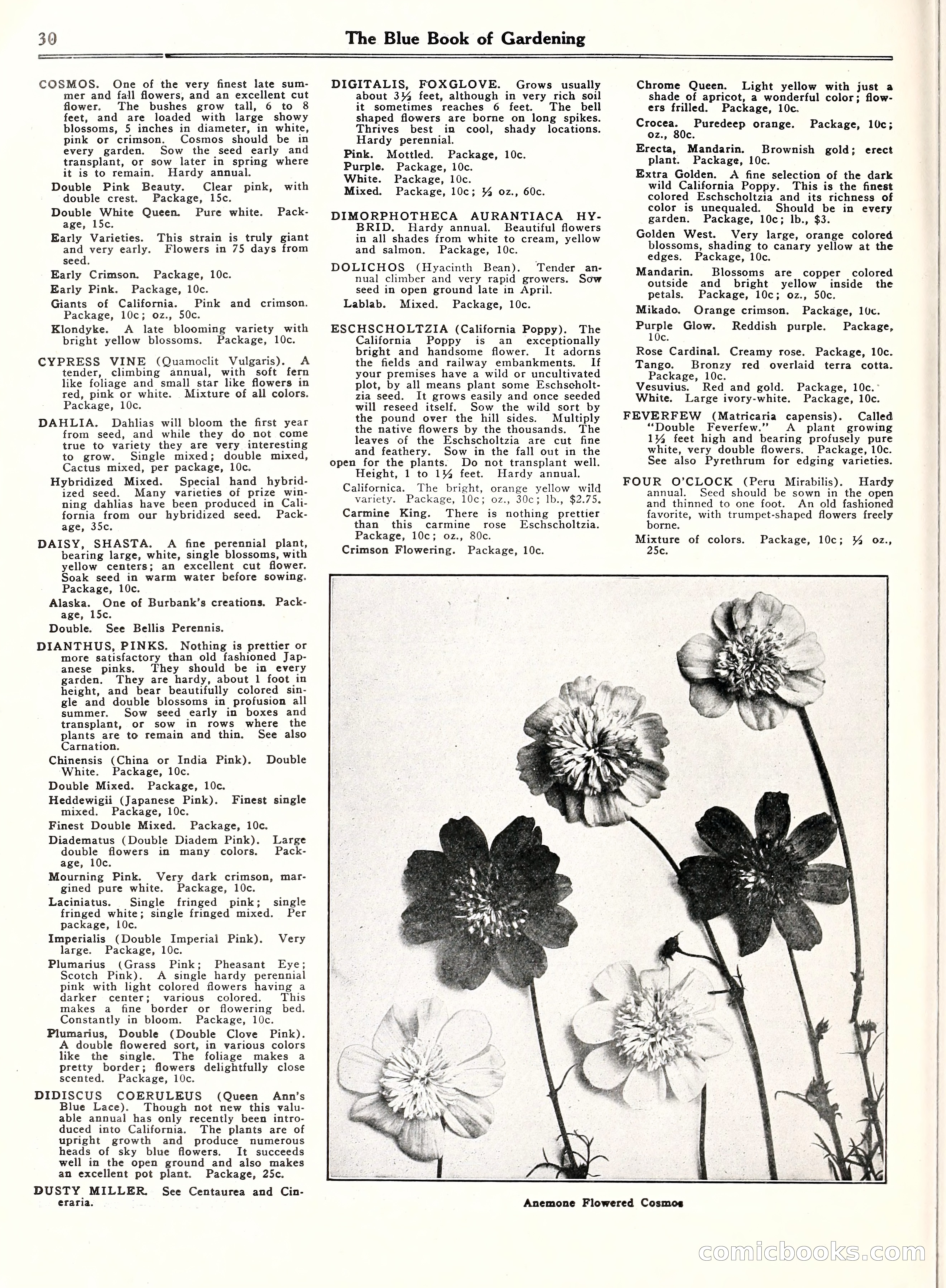 Blue Book of Gardening, 1929 — page 35 of 69