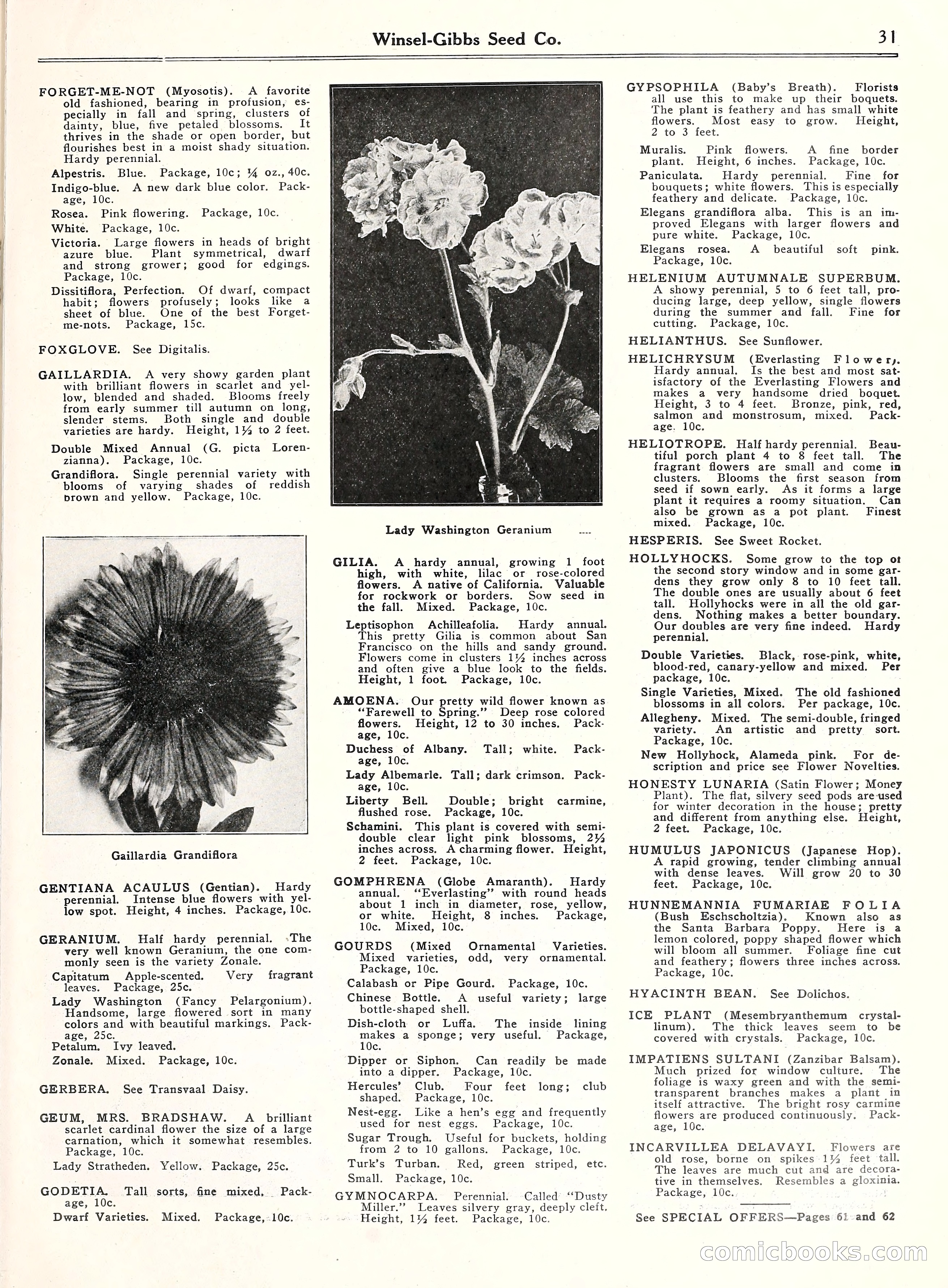 Blue Book of Gardening, 1929 — page 36 of 69