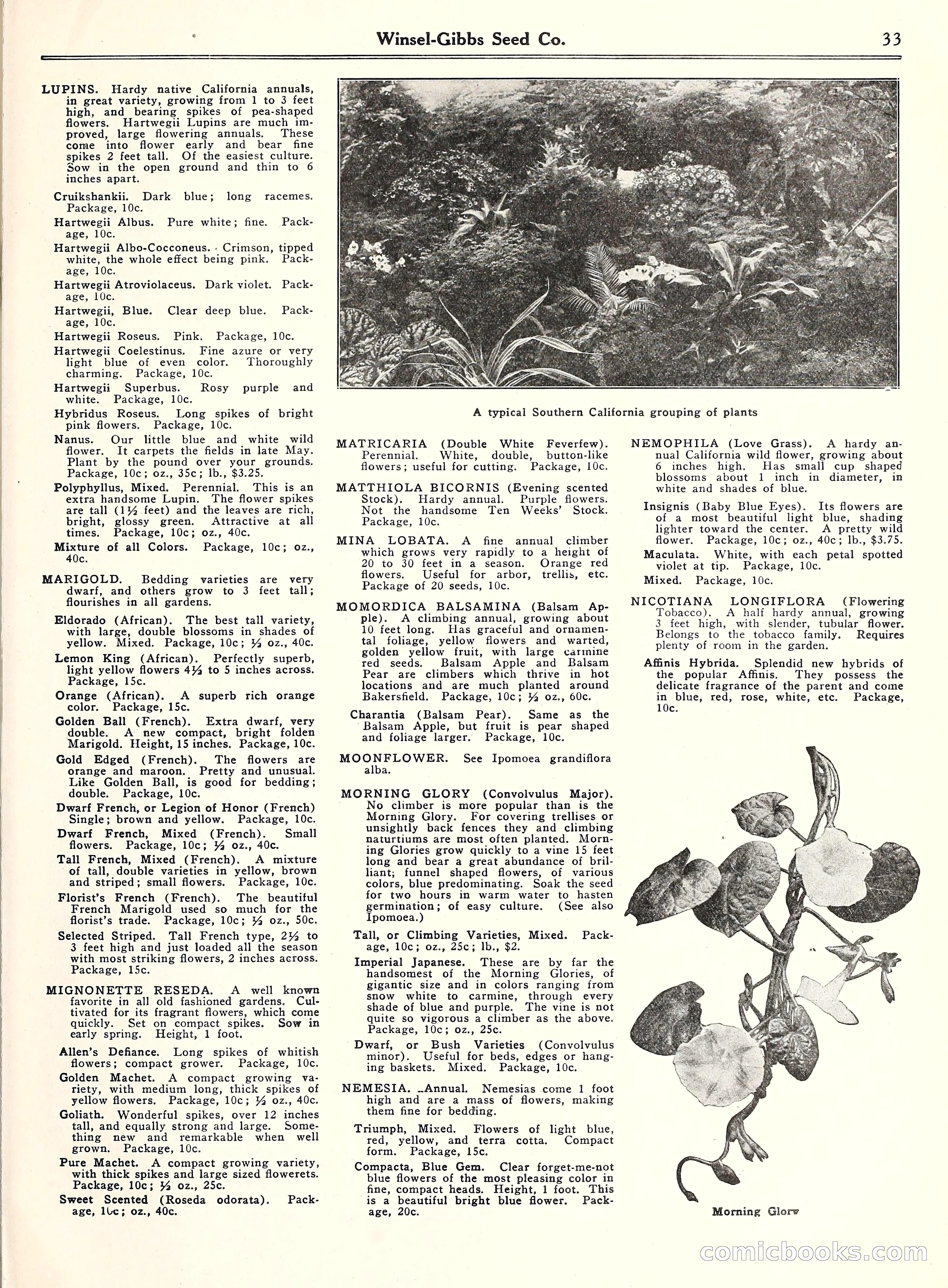 Blue Book of Gardening, 1929 — page 38 of 69