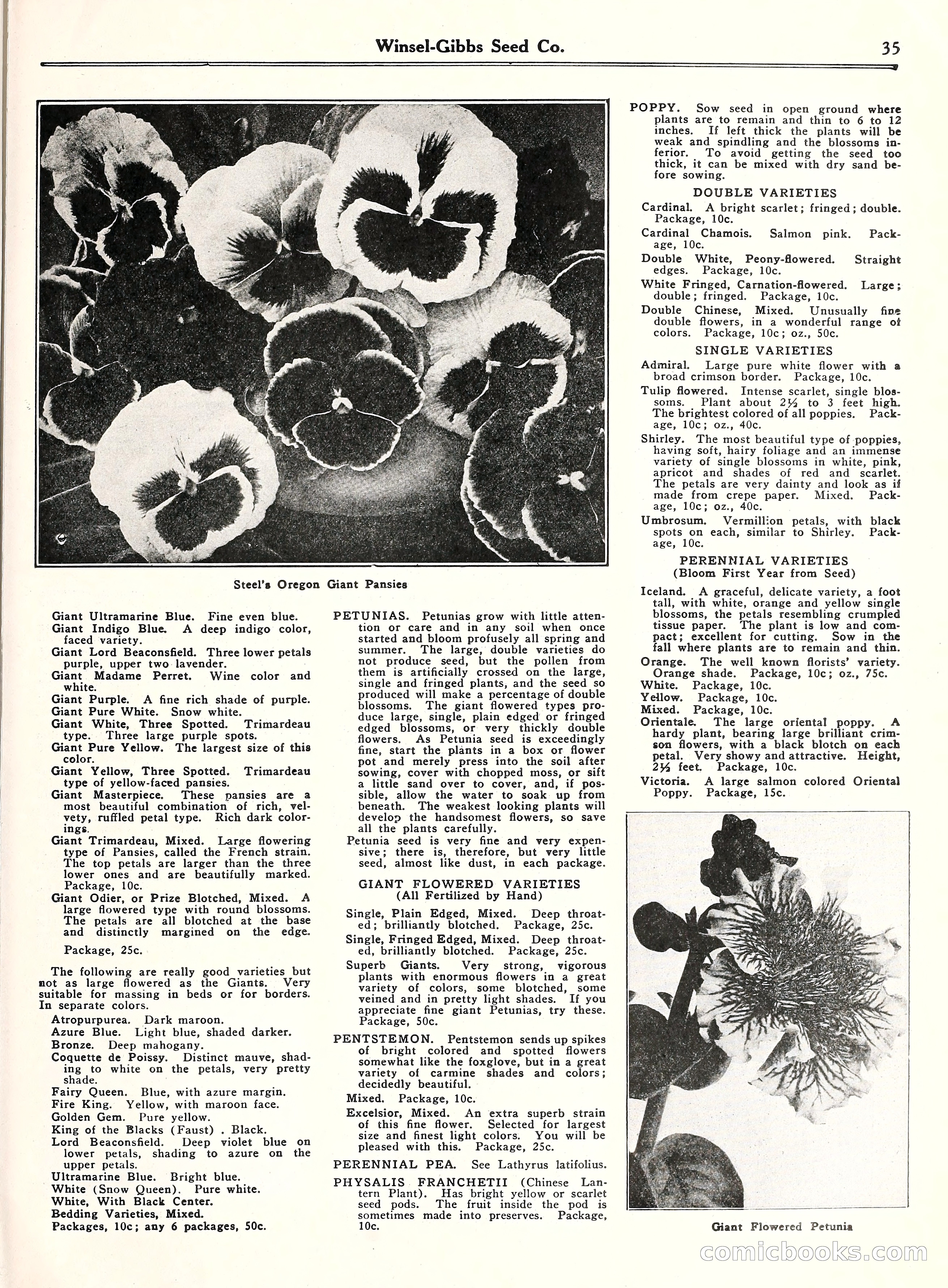 Blue Book of Gardening, 1929 — page 40 of 69