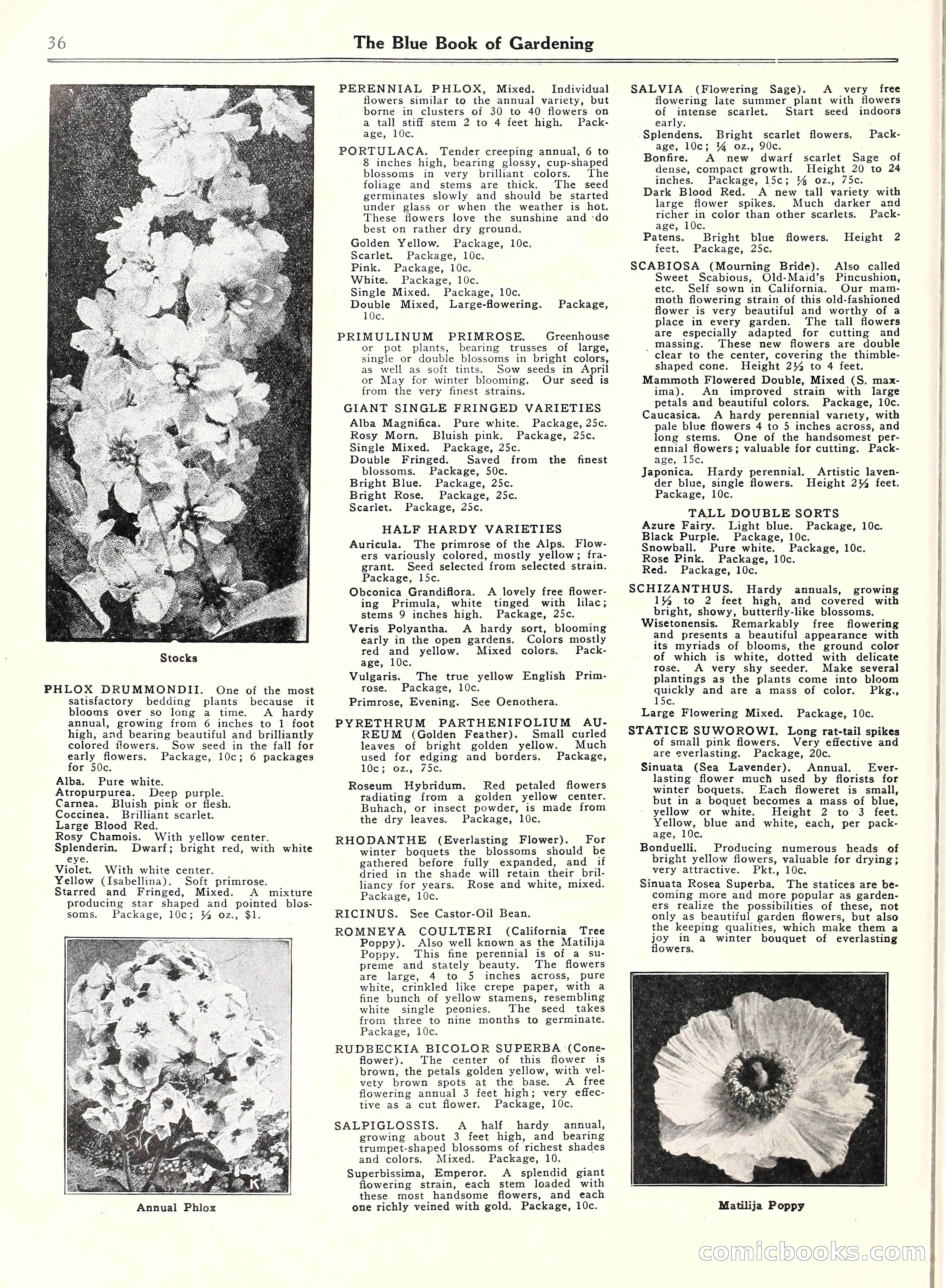 Blue Book of Gardening, 1929 — page 41 of 69